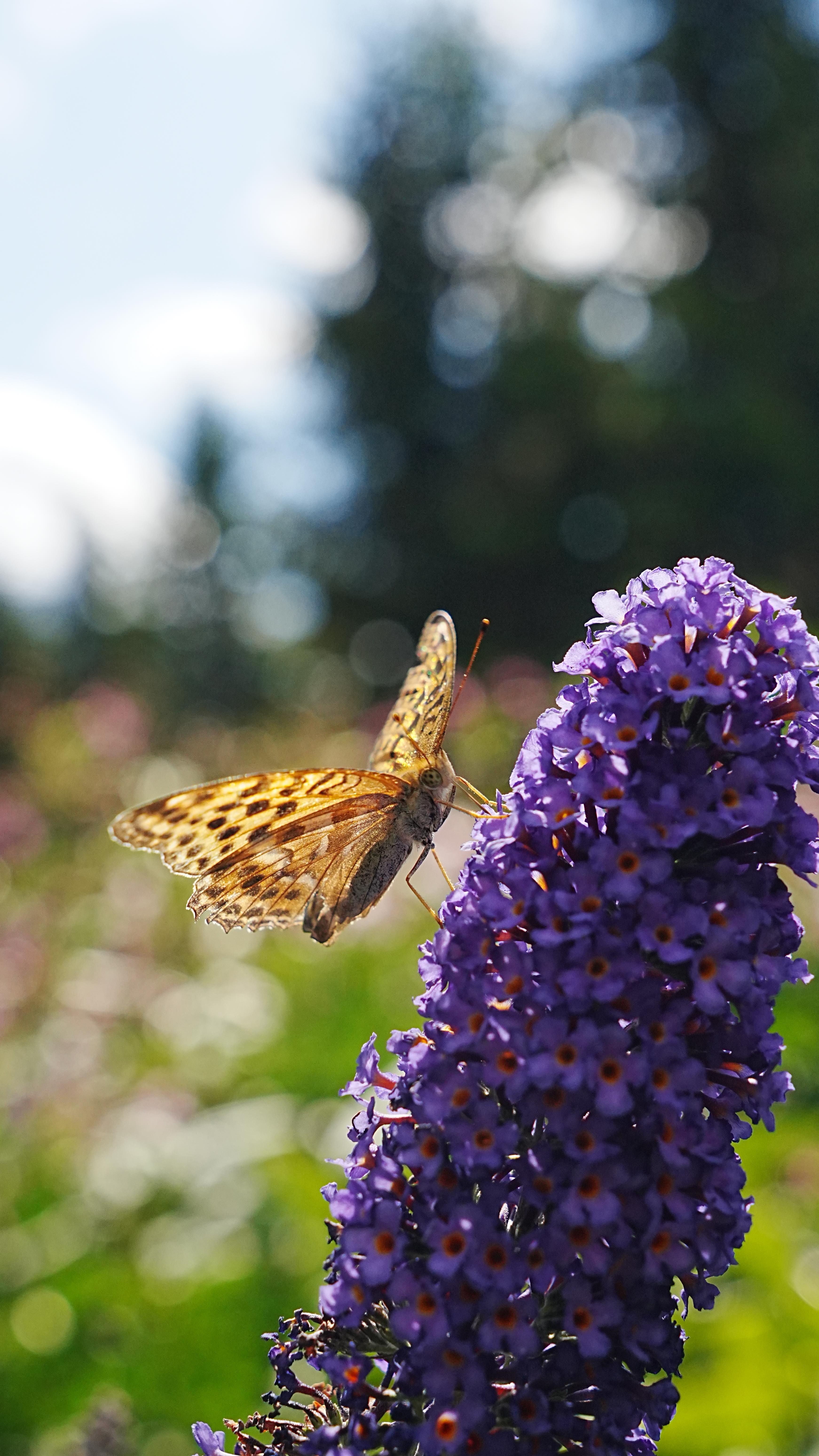 Vanlife in the Swiss Mountains 🫶
Check out the full video, link in bio 🔝
Switzerland really feels like something out of a fairytale 🌅
You pay a bit more than in Italy, but it's worth every bit, the mountains here are on another level. When you drive through this country, there's so much to see everywhere you look.
Some of my favorite places:
Matterhorn, Zermatt, Interlaken, Luzern, Stoos and Oesschinensee
#vanlife #swissroads #swissmountainview #Switzerland #roadtrip
