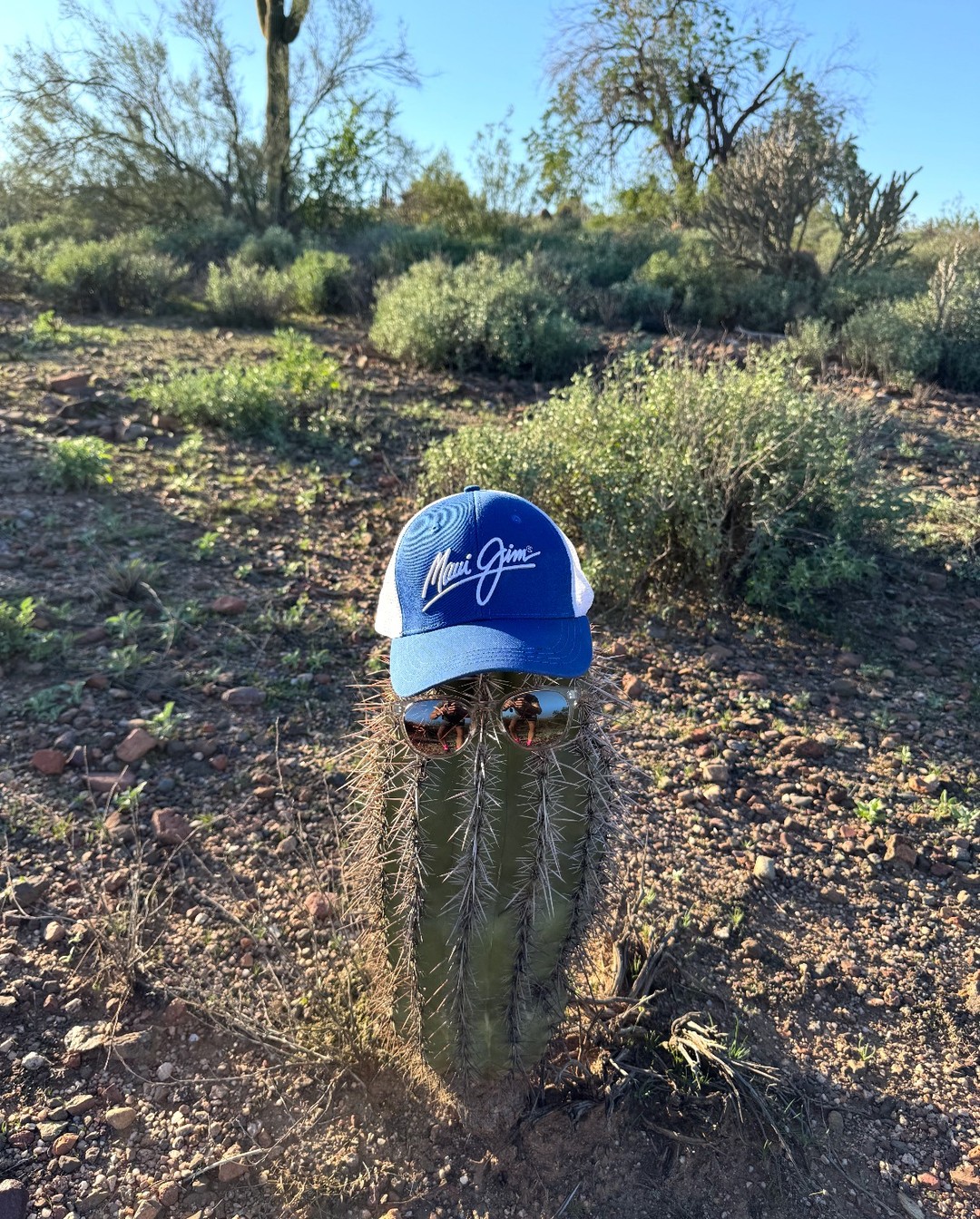 Winter Sun☀️🕶️
Have you discovered our Maui Jim range of sunglasses?
Known for their fantastic levels of protection from harmful UVA and UVB, these sunglasses are perfect for protecting your eyes in the bright winter sunshine.
Whilst it may be growing ever-colder here in Suffolk, here's a shot of some of our Maui Jim's in the wild...🌵
#WinterStyle #EyeCare #MauiJimSunglasses #Opticians
