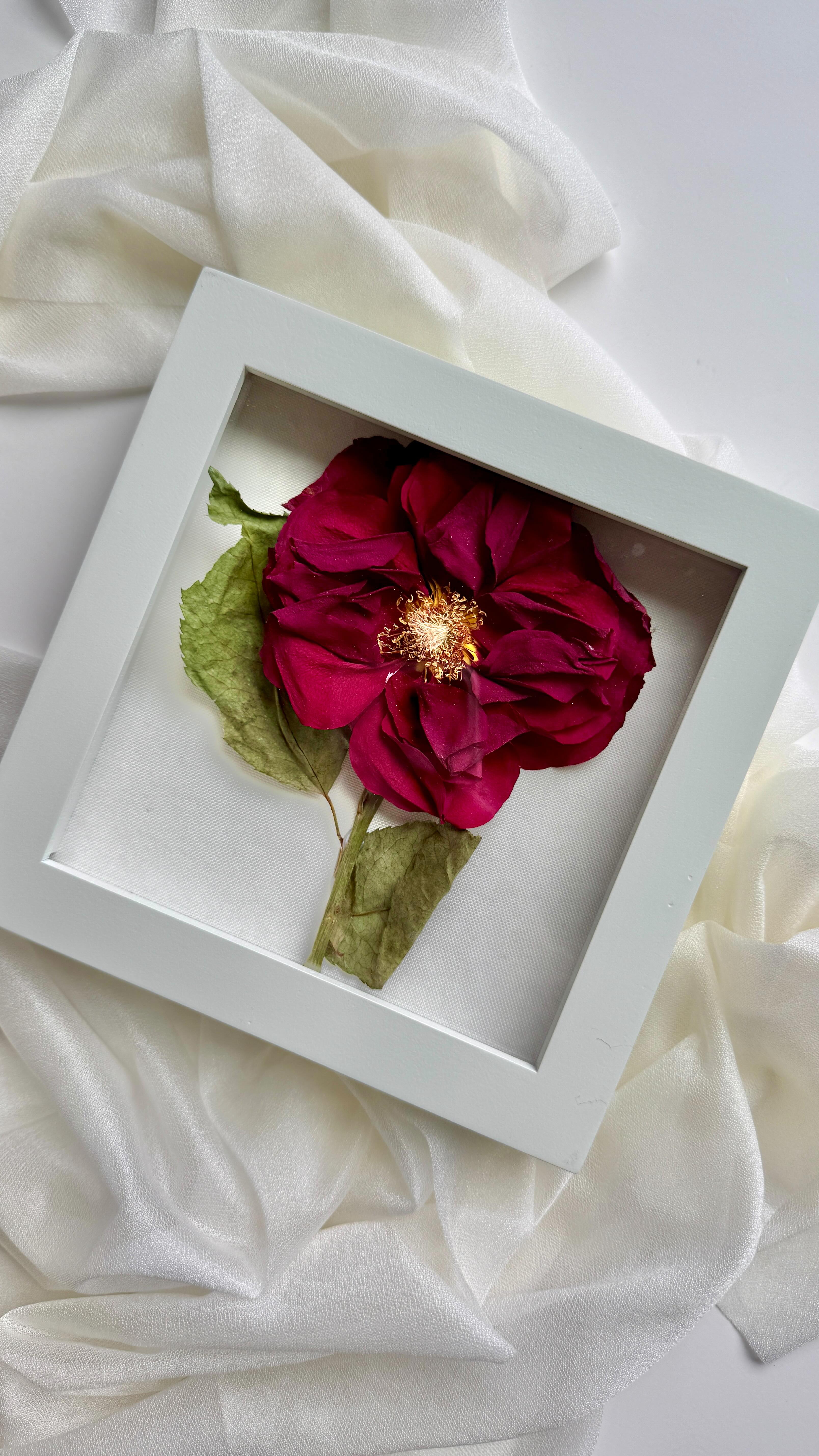 Asmr much? 👀
#resinfloral #floralpreservation #weddingbouquets #bridalkeepsake #preserveyourflowers #weddingmemories #foreverflowers #bridesof2026 #weddinginspirations