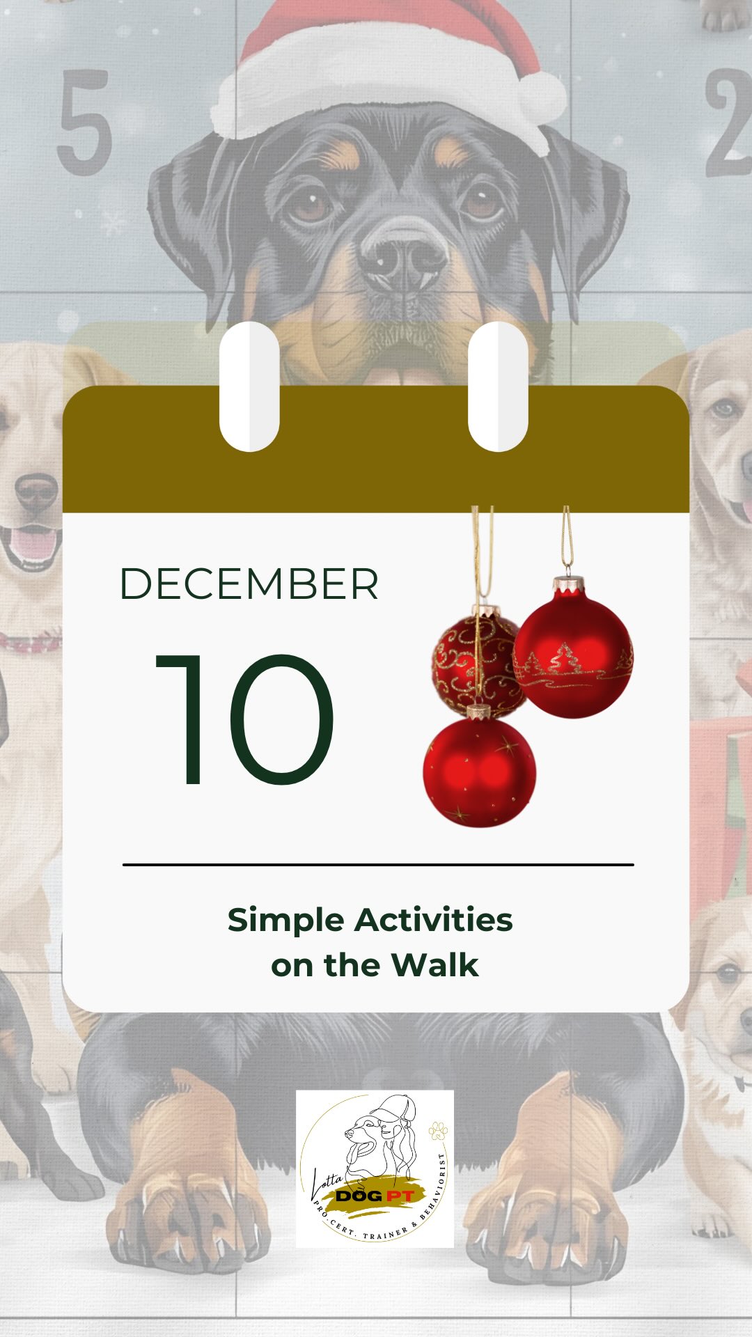 🎄 DAY 10- Two simple activity games from our rainy morning walk
Today our walk was a little shorter because of the rain, so we added a few quick and easy games to make the walk more fun and mentally stimulating.
✨ Game 1: “Treasure!”
A playful little game you can use anytime when the dog is on ”free” walk command.
1️⃣ Say “Treasure!” with joyful voice
2️⃣ Quickly sit down with your back towards the dog
3️⃣ Drop a few treats on the ground
4️⃣ Pretend to search for something exciting
Most dogs love this and run over to see what you’ve found.
At first you can use extra tasty treats, but usually it’s enough to sit down and start “digging” with your fingers. I always bring part of Ecco’s morning meal and use it in games like this.
✨ Game 2: “Search-search!”
A simple activity that activates your dog’s nose.
• Get your dog’s attention
• Scatter a few treats into the ground
• Say “Search-search!” Or your search command
• Let the dog sniff and work
Throw close for beginners or farther away for a bigger challenge.
🌟 Small, spontaneous games make walks more fun, build connection and add great mental enrichment.
KISS- Keep It Short and Simple! Small exercises, big joy, every day together. See You tomorrow❣️🐾
#dogtrainingisfun
#dogenrichment
#rainydogwalks
#doggames
#sniffinggame
#dogenrichmentideas
#happydogtraining
#rottweilerlife
#rottweiler_world
#lottadogpt