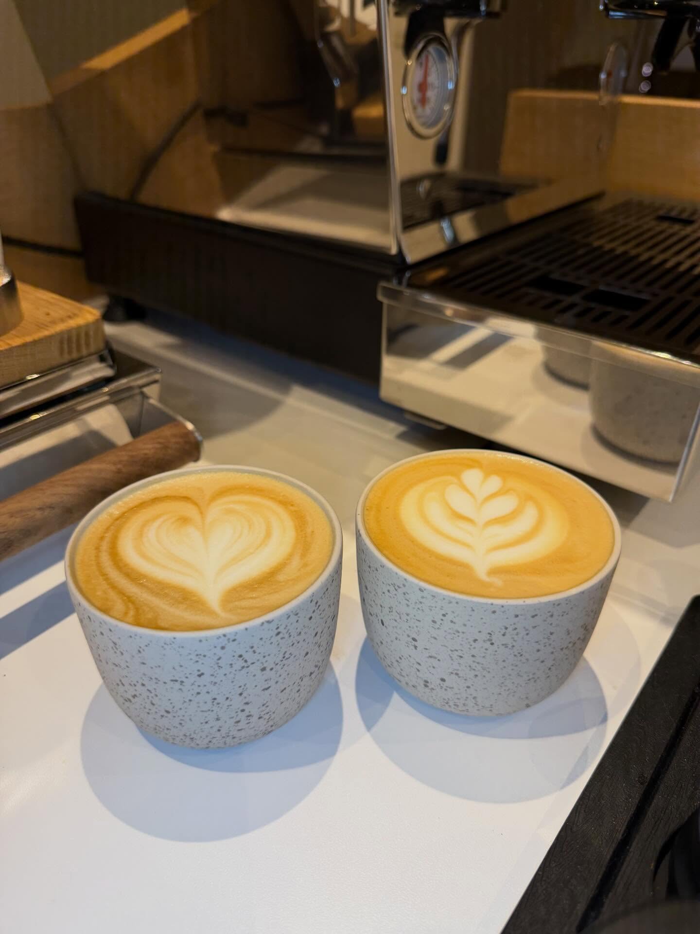 ☕ Cappuccino Wednesday!
Ben jij een echte koffieliefhebber? Wil je leren hoe je de perfecte cappuccino maakt met een Sage koffiemachine, de geschiedenis van koffie ontdekken én je eerste latte art creëren? Dan is onze koffieworkshop precies wat je zoekt!
📆 Workshop: 18/12
⏰ 18:30 – 21:00
💶 €70 p.p.
Boost je barista skills, leer professionele koffietechnieken en duik in de wereld van specialty coffee.
👉 Schrijf je nu in en word de barista van je eigen keuken of bestel snel jou cadeaubon om iemand te verrassen tijdens de feestdagen!