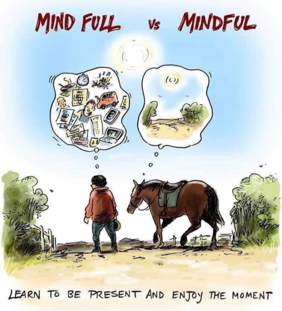 🎁✨ Tipy na dárky, které mají skutečný dopad | ZELF Academy a kód VANOCE2025 pro nákup o 25% výhodněji
Hledáte dárek, který nezapadne mezi ostatními?
Něco, co potěší, překvapí… a zároveň obdarovanému změní den, rok nebo celý život?
Máme pro vás pár inspirací, které pod stromečkem opravdu zazáří. ✨
🎁 1) Dárkový poukaz ZELF Academy v libovolné hodnotě
Skvělá volba, pokud chcete darovat „svobodu výběru“.
Obdarovaný si sám vybere, jaký typ rozvoje nejvíce potřebuje – od individuálního koučinku přes transformační program s koňmi, až po workshop nebo webinář.
🐴 2) Harmonizační 90minutová procházka s koněm
Jemná, uklidňující a přitom hluboká zkušenost.
Vhodné pro každého, kdo potřebuje dobít energii, vyčistit hlavu a znovu se naladit na sebe.
💫 3) 2–4 hodinový individuální koučink s koňmi
Pro ty, kteří chtějí jít do hloubky.
Kombinace profesionálního koučinku/mentoringu a práce s koněm odhalí to, co běžné povídání často mine:
– vnitřní jistotu,
– hranice,
– leadership,
– emoce,
– vzorce, které nás brzdí.
Pravdivé. Autentické. Transformující.
🎄 Darujte zážitek, který nezmizí.
Nebo si ho klidně přidejte na vlastní wishlist pod stromeček – protože někdy je nejlepší dárek ten, který si dopřejeme sami.
🎉 Všechny služby (neplatí pro dárkové poukazy) ZELF Academy o 25% výhodněji s kódem VANOCE25! 🎉 Při nákupu nad 500 Kč.
https://www.zelfacademy.com/book-online
#vánoce #sleva #koucinkskonmi #equineassistedlearning #coaching #mentoring #workshop #mindfulness