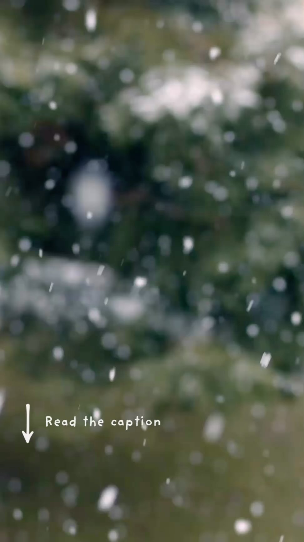 The holidays come with a certain kind of pressure—one that whispers that the season should be magical, memorable and perfectly curated for our kids. Social media is full of elaborate crafts, themed outings, matching pyjamas and smiles that look effortless. It’s easy for parents to wonder whether they are doing “enough”.
Here’s the truth: you are.
Parenting during the holidays doesn’t have to look like a schedule packed with activities or a home worthy of a magazine. Children remember how the season felt far more than what it looked like. They remember warmth, connection, and the sense that their caregivers were present — emotionally, not perfectly.
Some days your energy will be high and you’ll bake cookies or hang lights. Other days you might settle for a movie and take out because that’s what everyone can handle. Both are good. Both are enough.
Kids don’t need constant entertainment; they need moments of closeness. They don’t need parents who do everything; they need parents who model balance, boundaries and self-care. When you take care of yourself, you are giving your children one of the most meaningful gifts — your regulated, present self.
So as the holidays approach, take a breath. Noticed the small, genuine moments happening right in front of you. Trust that the love you give, in all its ordinary forms, is more than enough.
You’re doing beautifully. Keep going gently.
#ParentingSupport #YouAreEnough #MindfulParenting #HolidayParenting #PresenceOverPerfection #YouAreEnough