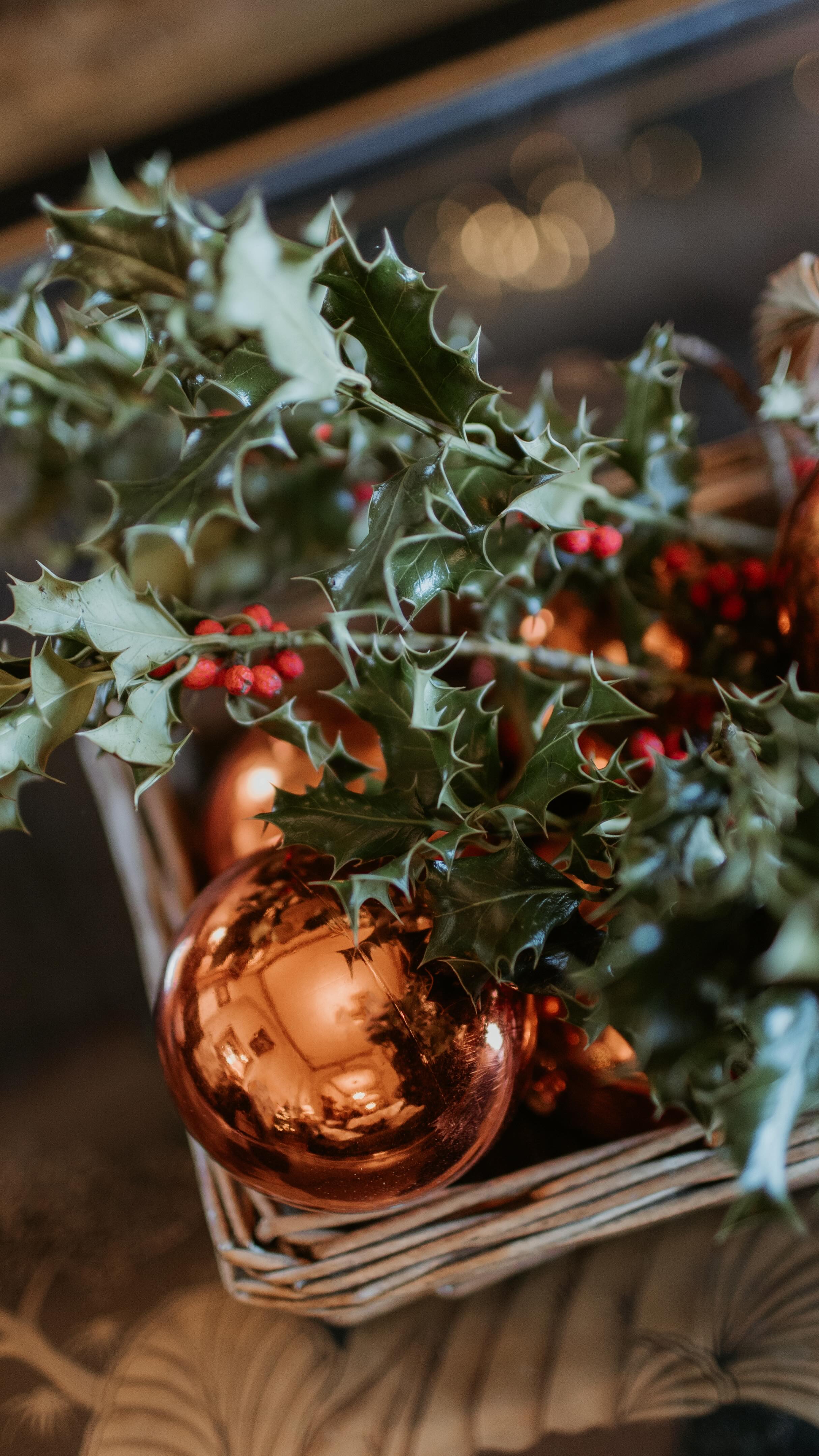 A beautifully styled winter ceremony
Candlelight, considered details, and a slower, more intentional pace can completely transform a ceremony space — creating warmth, depth and a sense of quiet magic.
Winter weddings have a way of feeling especially intimate when the atmosphere is done well
Save this for winter wedding inspiration.
Venue @orchardleigh_estate_weddings
Photographer @jessiemilyphotography
Second shooter @gregshinglerphotography
Stylist @scarlettroseevents
Florist @jmfloraldesigns
#winterwedding
#winterceremony
#candlelitwedding
#churchweddinginspo
#weddingstylingideas
#weddingatmosphere
#ukweddingplanner
#somersetweddings
#luxuryweddinginspo