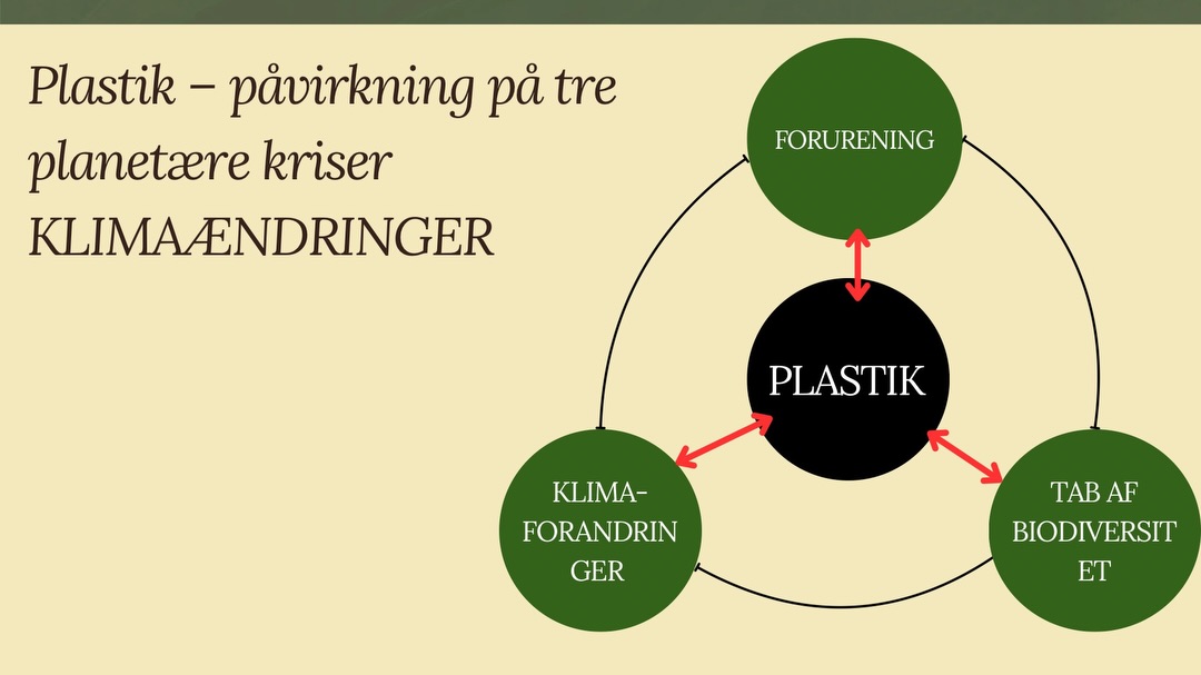 Plastikken er ikke bare et affaldsproblem.
Ny forskning viser, at mikroplast nu dukker op i skove, jord, luft – og endda i vores kroppe.
Samtidig kæmper verdens lande stadig for at blive enige om en global plastiktraktat.
Men vi behøver ikke vente. Vi kan handle allerede i dag:
• vælg naturfibre frem for fast fashion
• drop plastikposer og engangsting
• styrk lokale virksomheder der tænker grønt
• sig nej til mikroplast i plejeprodukter
• stem på politikere, der tør tage fat
Plastikkrisen er stor – men vores handlinger er stærkere end vi tror. 🌍✨
Hashtags:
#PlasticFreeFuture #Klima #Natur #Biodiversitet #Mikroplast #GrønHverdag #SystemChange