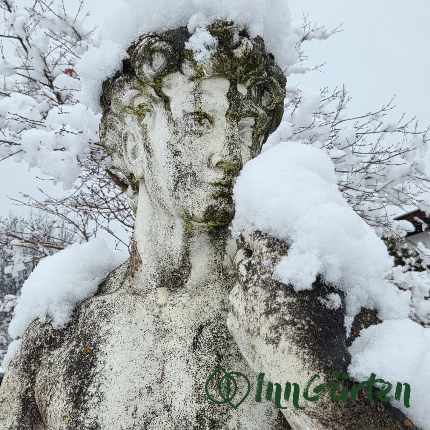 Winter im Garten
Wenn der erste Schnee fällt, wird selbst der kleinste Winkel magisch.
www.inngaerten.at
#winterimgarten #winterzauber #schneemagie #gartenliebe #winterwonderland #schneezauber #gartenimwinter #winterstimmung #schneelandschaft #naturzauber #wintertage #statueimschnee #ruhigermoment #wintervibes #frostigschön #inngaerten #galabau #gartenbau #gartendesign #gartenideen #gartenpflege #bepflanzung #pflegeleichtergarten #naturgarten #Staudenbeet #gartengestaltung #tirolerhandwerk #hallintirol