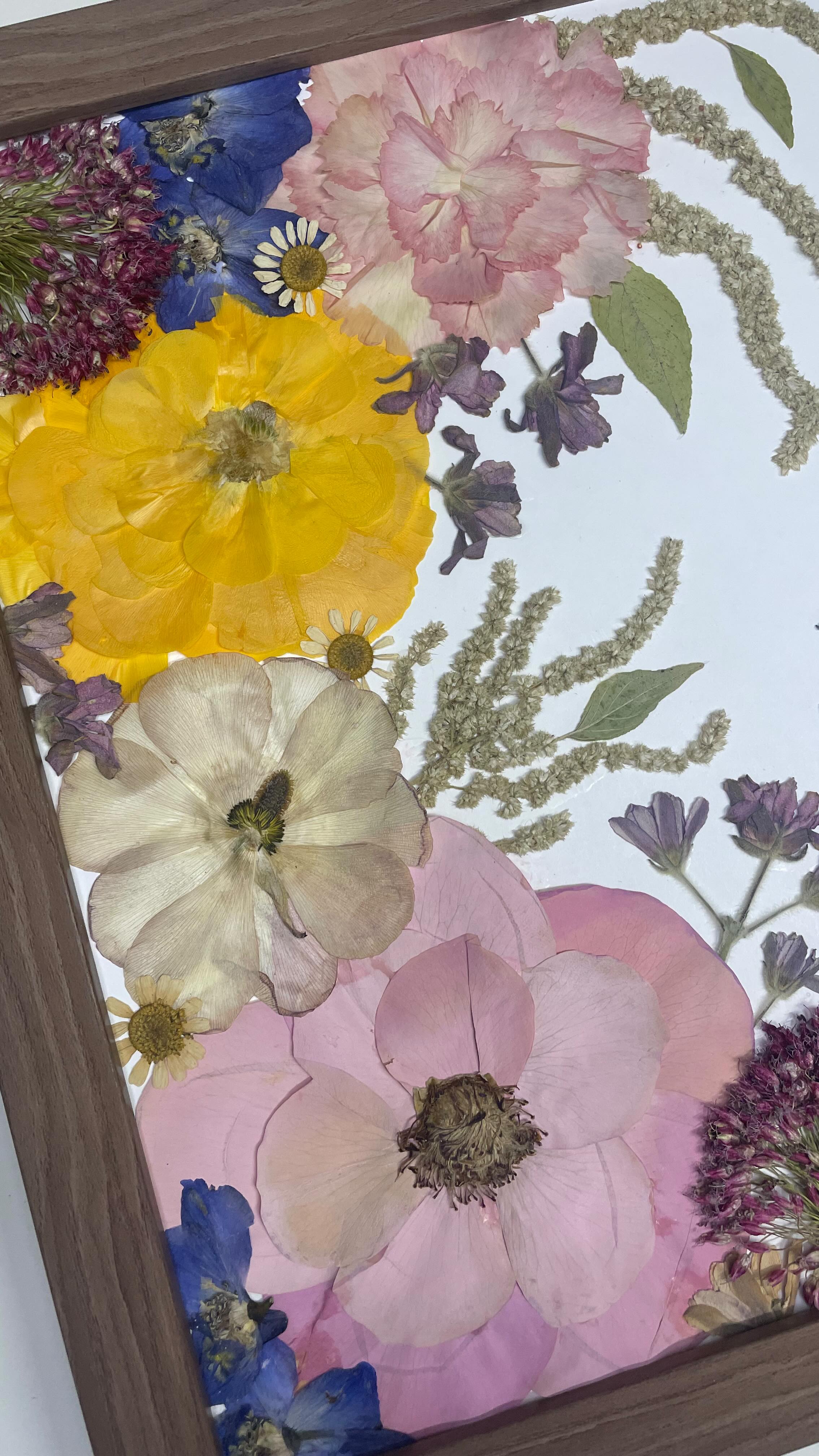 Recently finished up this colorful cutie and it is such a great example of how colors pop on white mat. Malia chose an 8”x10” Walnut frame and our garden crescent design.
✨
Floral Design: @aflowernamedgirl
Planning: @ariskdesign
.
.
.
#floralpreservation #floralart #pressedfloralart #pressedfloralframes #saveyourbouquet #floraldesign #rvasmallbusiness #rvaweddings #rvaengaged #richmond #virginia #colorful #flowers #heirbloom #creative