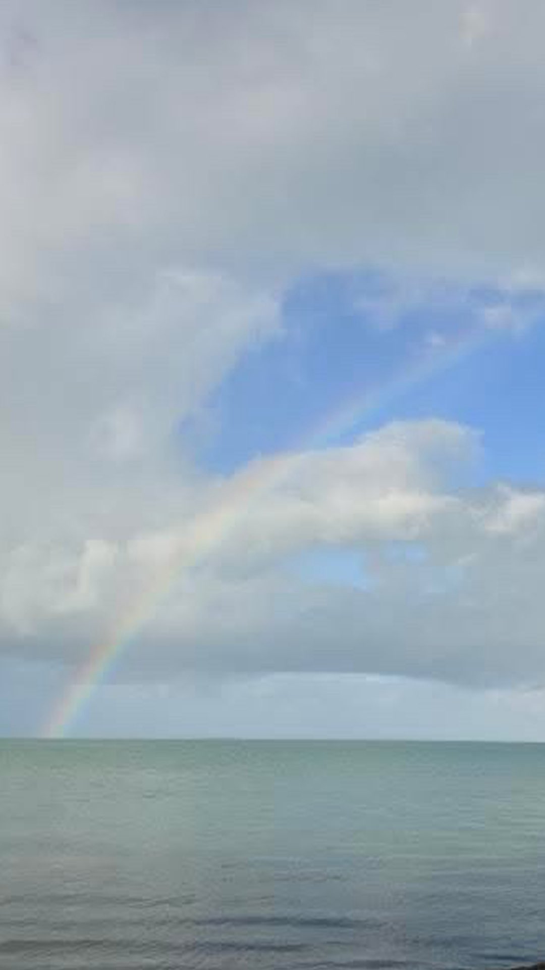 This Full Moon in Gemini, we step into the energy of shedding and remembrance. ✨
Let go of what no longer serves, release old roles and expectations, and reconnect with your soul’s true purpose. Move through the winter’s ancestral energy, activate your soul contract, and step fully into the woman you came here to be.
Tiffany guides you through ritual breathwork, Reiki-infused intention, and embodiment practices — a space for shadow work, healing, and feminine remembering.
Listen now on Spotify and rise into your remembering. 🌕
#GeminiFullMoon #FullMoonMeditation #SoulContractActivation #SnakeMedicine #MoonEnergy #ReikiHealing #GuidedMeditation #ShadowWork #FeminineEmbodiment #SpiritualAwakening #HealingJourney #MoonMagic #ReinbowCircle #IxChelWellnessResort #WellnessInBelize #MoonPortal #TransformationEnergy #WomenRising