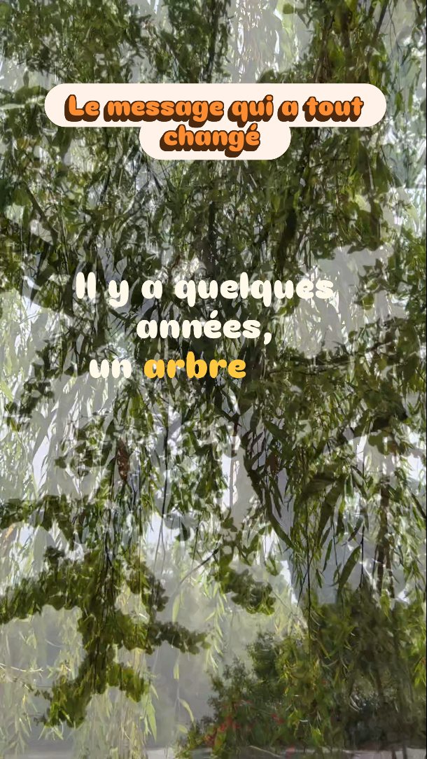 Parfois, la vie t’arrête.
Te ralentit.
Te déracine en apparence…
mais seulement pour mieux t’enraciner en profondeur.
Cet arbre m’a soufflé un jour ( oui je discute avec les arbres 😄) :
“Tu penses t’être plantée… mais tu t’es plantée.”
Et tout a changé.
J’ai arrêté de croire que je m’étais trompée.
J’ai compris que j’étais en train de pousser là où je devais être.
Si tu traverses un moment de doute,
si tu as l’impression d’être au milieu du brouillard…
souviens-toi :
tu n’es pas perdue.
Tu es en gestation.
Tu t’ancres.
Tu te prépares.
✨ Tes racines savent avant toi.
Si ce message te parle, mets un 🌿 en commentaire
Julie – Magic’Kiffeuse 💛
