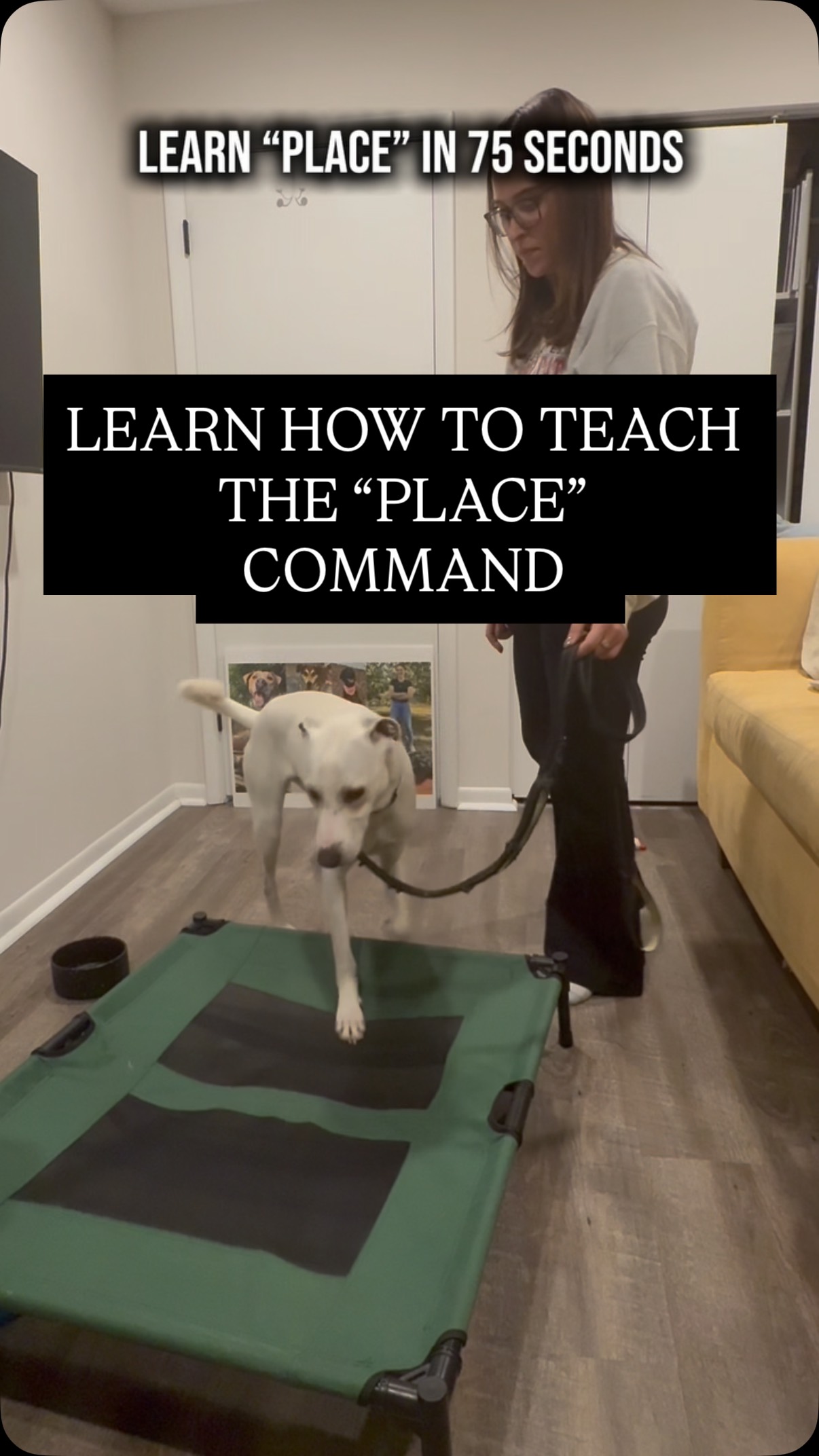 PLACE COMMAND IN 75 SECONDS 💰
This is such a great skill to teach your dog, and perfect sessions for these chilly winter days ❄️
Place is beneficial for all dogs, but especially ones who may struggle with
✔️ SEPARATION ANXIETY
✔️ REACTIVITY IN THE HOME
✔️ REACTIVITY OUTSIDE (crazy, right?)
✔️ RESOURCE GUARDING
or maybe just have a hard time chilling out!
There are many ways to teach “place”, comment if you have another approach and show your pup in their “place” 🤩🫶
Follow for more tips AND stick tight for part 2 where we cover making this skill even better!
#dogtraining #doganxiety #reactivedogsofinstagram