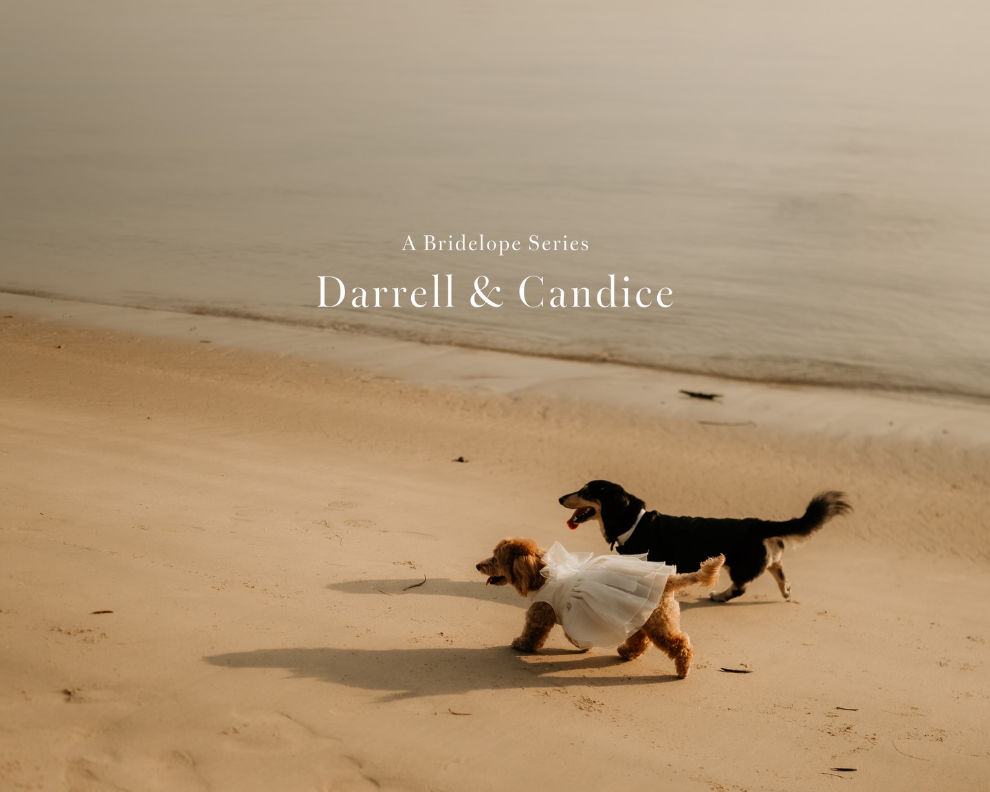 A sunny morning with two enthusiastic fluffballs, and a soundtrack that somehow just fits 🤍
Scroll to last pic for extra cuteness.
Makeup & hair by @elsayan_makeup