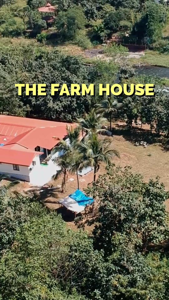 Spend a day at Thakkar Farm- pick juicy mulberries, enjoy fresh home-cooked food, and relax by the calm river🏞.
Book your visit to The Farm Retreat and get a full farm experience.🐄
Fresh mulberry, mulberry fest, farm retreat, berry picking, pluck and eat, fresh berries, farm fun, nature day, sweet season, family time, weekend plan, countryside, farm life, outdoor day, slow living
#farms #mulberry #karjat