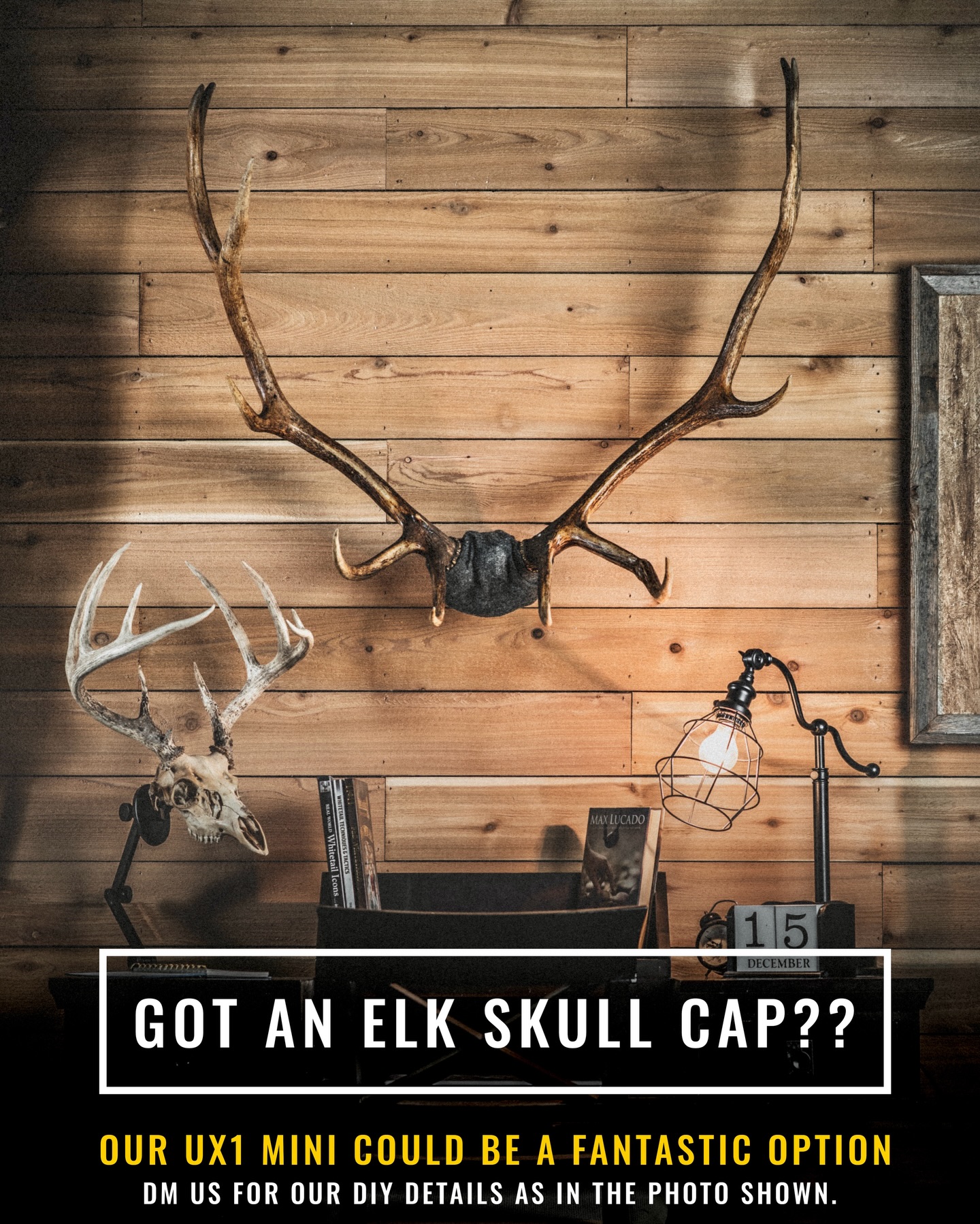 We chose to mount our elk euro(skull cap) on our UX1 Mini. It was a breeze to do. If you have an elk skull cap and want to do the same utilizing our Mini, DM us for details. With that being said, for all of those who have asked, we do have a full elk euro skull mounting option in the works. Testing will begin soon on those.
.
.
.
#euromount #elkhunting #uroadx
