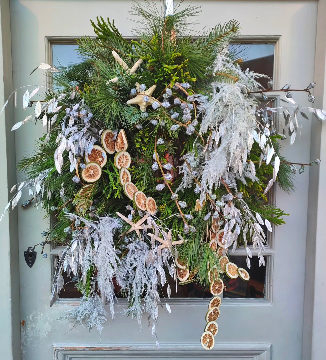 Thank you Hailey! @gobotanica ❄️🎄