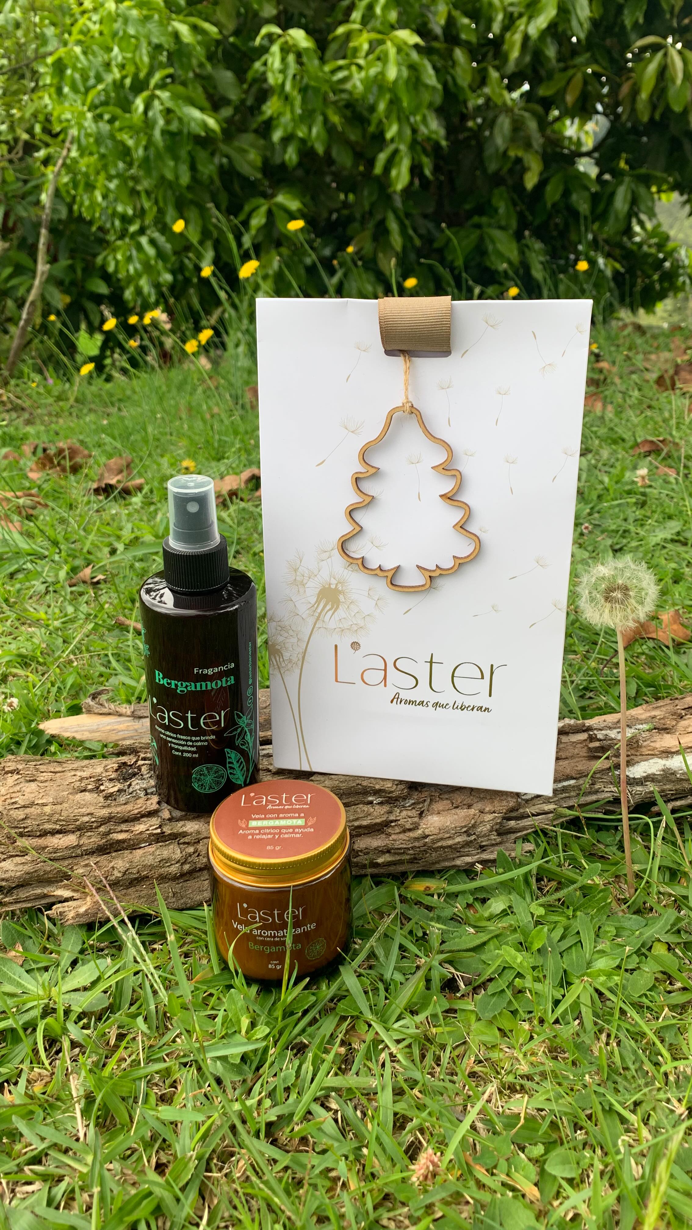 Un regalo lleno de buenas Vibras para Navidad