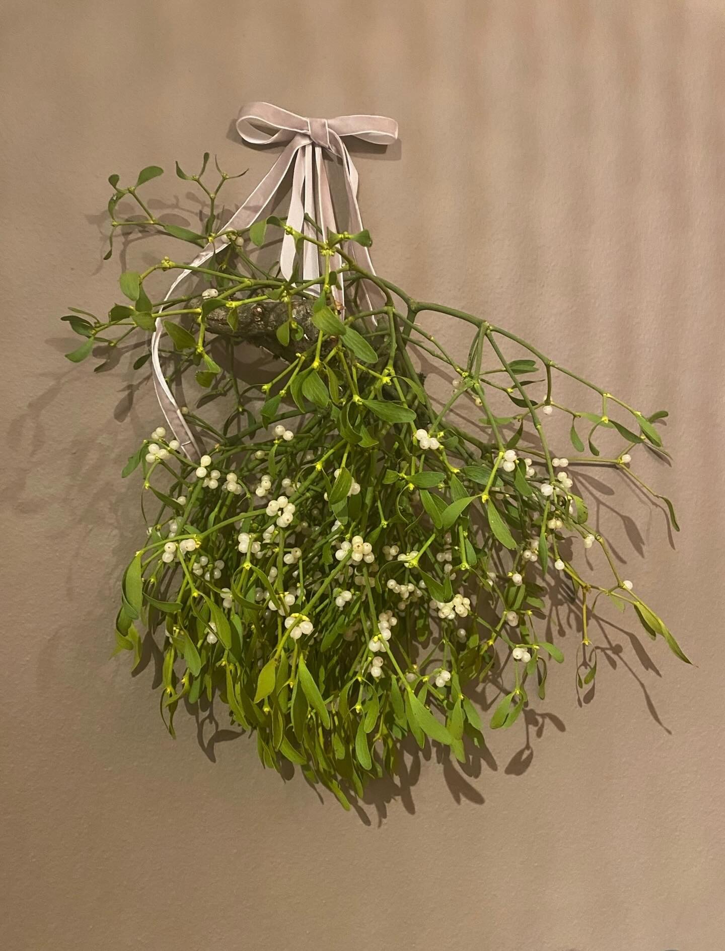 Schönheit, die bleibt.
#schönheitdiebleibt #cosmeticunique #natürlicheschönheit #zeitloseschönheit #purebeauty #authentisch #natürlich #elegantepflege #beautywithpurpose #cleanbeauty