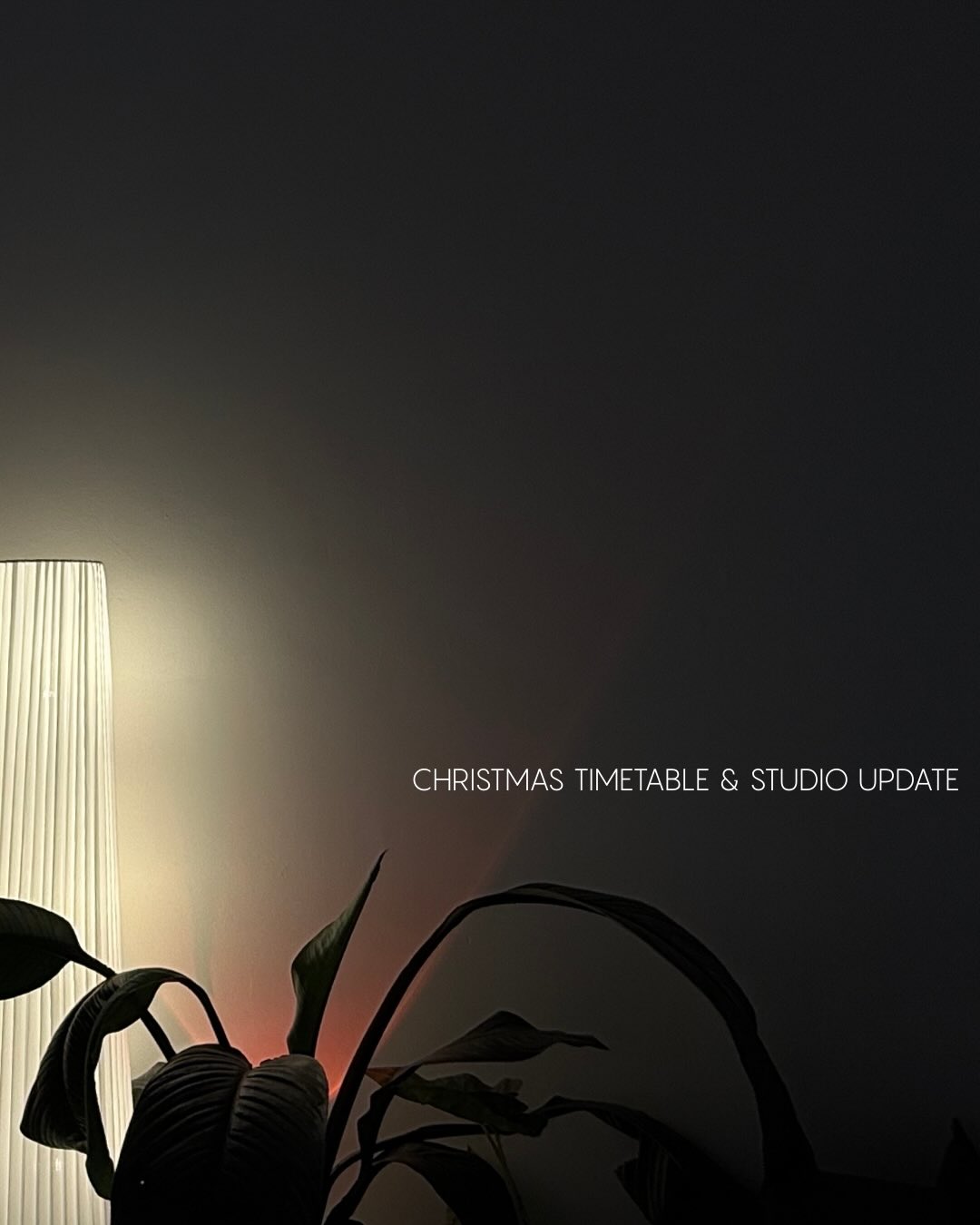 CHRISTMAS & NY holiday timetable is here - there is something for EVERYONE 🤍
All of the details for 2026 timetable release included 🤍
Bookings are open via the MOMENCE app or if it’s your first time at the Studio - book via the website!
Courtney xx