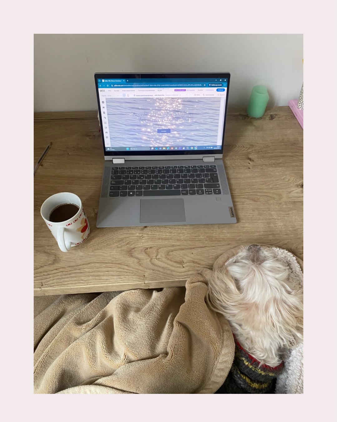 Estos somos Leo y yo ¿creando nueva web para conscious? 💖💖💖💖 Te cuento
Hace un mes recibí un mensaje de guías hablado de volver a los inicios para seguir creciendo. Vino por sorpresa, alguien lo canalizó para mí.
Así que he revisado estos años de trabajo para retomar las cosas, quizás no desde donde están, sino desde donde nacieron.
He vuelto sobre los primeros eventos, la primera web y los emails infinitos donde me contabais todas vuestras historias para ver cómo plantear vuestra sesión. Todo esto en plan otoño claro🤓🍂 ☕️ 📝
Así que te cuennnnto que es mi intención cerrar el año con nueva web, nuevos eventos y nuevos emails llenos de historias👩🏻💻 qué ilu no? 👏🏽
(La última foto es lo que estoy usando como moodboard 🌊 ✨)