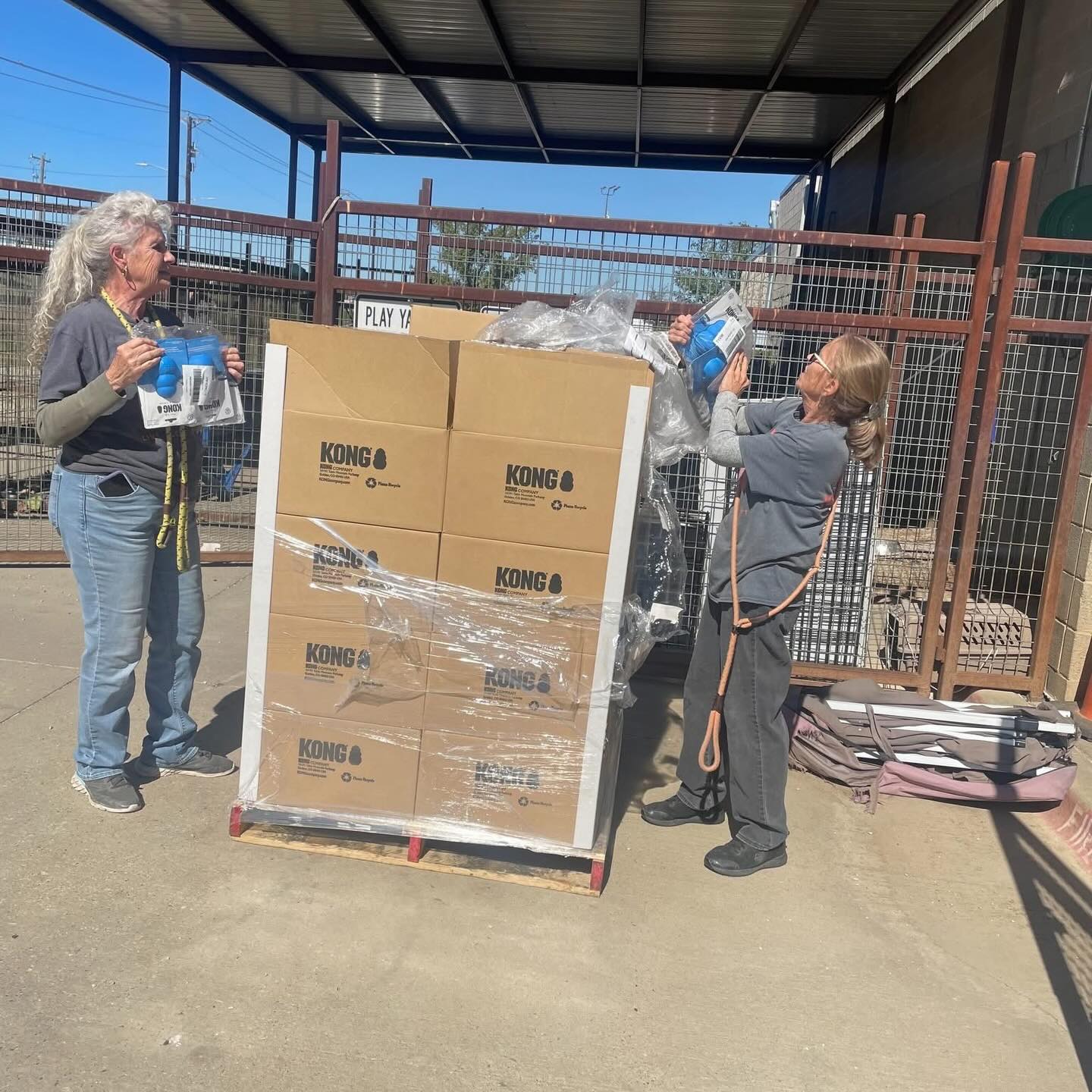 Thanks to a generous grant from @vcacharities Second Chance KONGS program, Cowtown Friends received 1,000 KONGs for the animals in Fort Worth Animal Care & Control’s care. These durable toys are life-saving enrichment tools that help keep shelter pets happy, calm, and mentally stimulated during their stay.
With nearly 20,000 animals passing through the Fort Worth Animal Care & Control shelters each year, KONGs are always in high demand and need regular replacement. Because enrichment supplies like KONGs are not included in the city budget, Cowtown Friends works hard to bridge that gap ensuring that every pet has access to the enrichment and care they deserve. This incredible donation ensures that dogs have an outlet for energy, stress relief, and fun while waiting for their forever homes. At Cowtown Friends, we’re dedicated to improving the lives of Fort Worth shelter animals through enrichment, foster support, community outreach, and life-saving resources. The support from VCA Charities and the Second Chance KONGS initiative helps us continue that mission—giving every pet the best possible care while they wait for a second chance at love.
We’re beyond grateful for this partnership and can’t wait to see these KONGs in action (the tails are already wagging!). Thank you, VCA Charities, for helping us make second chances even sweeter. ❤️