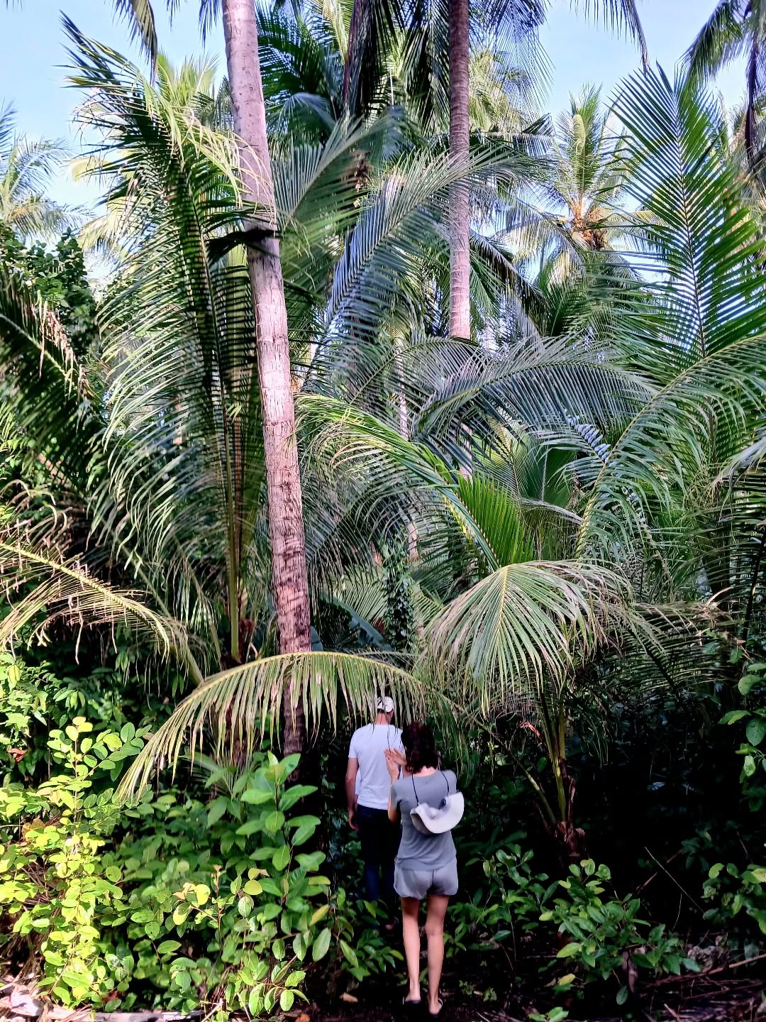 Wandering to the local village
Taking the main road today — just a small path cutting through the forest, quiet and peaceful. The kind of walk where you can hear your thoughts and the trees whisper back. 🌲✨
#ForestWalk #VillagePath #NatureStroll #QuietMoments #rajaampat #rajaampatisland #Ayau