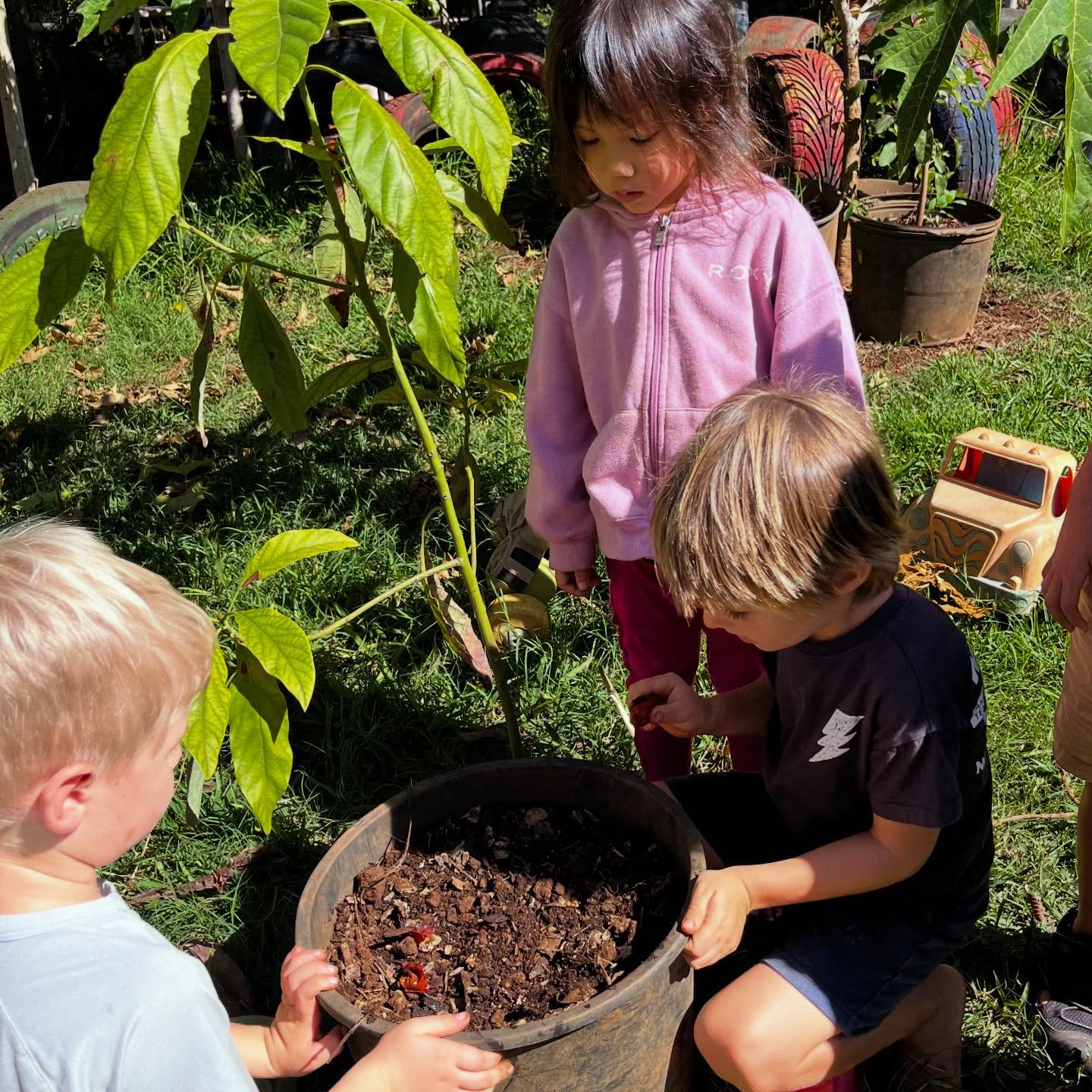 Drop-in childcare available 🌱
Ka Hana Pono offers flexible drop-in care for keiki ages 2–5 in a calm, nurturing, nature-based environment.
Children who join us for the day are welcomed into the rhythm — exploring, creating, and working together alongside peers, supported by experienced teachers.
Drop-in care is a good fit for:
• Work days
• Changing schedules
• Visiting ʻohana
• When you need trusted care, just for the day
Availability varies by day.
We encourage families to reach out ahead when possible.
📲 Call or text: (808) 282-0682
📧 aloha@kahanaponohaleiwa.com
🌿 www.kahanaponohaleiwa.com
Feel free to share with families who may need this support.