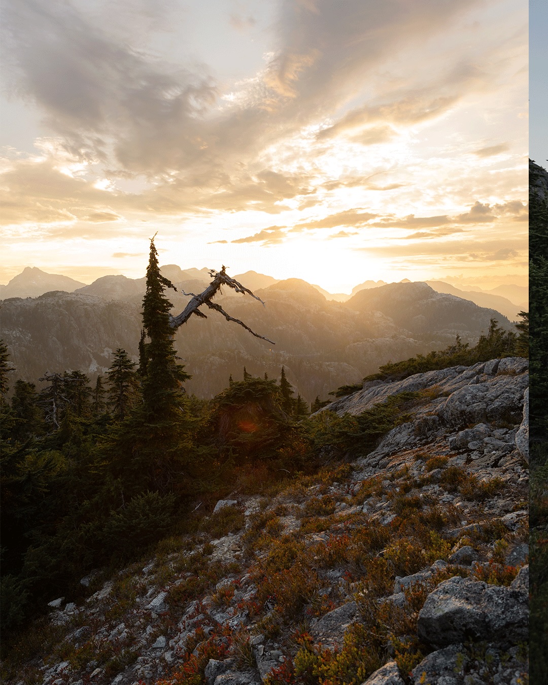 Alpine hiking.. is there anything better?
Another hike in the books for 2025. We fit in 5 overnight backpacking alpine hikes this summer and honestly that does not sound like enough!
Hopefully we can fit more in next summer!
#hiking #backpacking #vancouverislandhiking #discovercampbellriver #tourismvancoiverisland