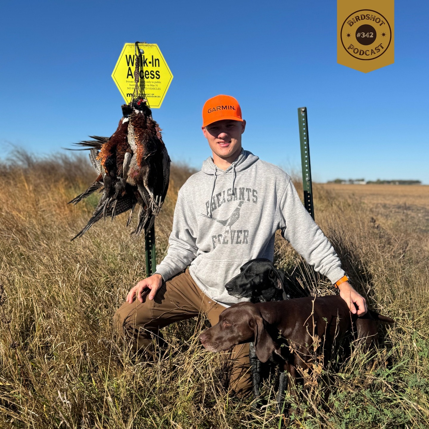 🎙 NEW EPISODE #342 | This week on the Birdshot Podcast, I’m joined by Minnesota upland hunter @isaiah_osborne10 for a practical conversation on pheasants, sharptails, winter birds, and the path from hunting without dogs to becoming a confident bird dog handler. We dig into how pheasant behavior changes after snowfall, tracking dogs vs. true bird dogs, lessons learned training in Arizona, and what it takes to hunt big-running prairie birds later in the season.
–
🎧 Tap the link in bio to listen + watch
📍 Available on Spotify, Apple Podcasts & YouTube
–
💥 Presented by:
@onxhunt | Use code BSP20 to save 20%
–
💥 Supported by:
@final.rise
@upland_gun_company
@marshwearclothing
@trulockchokes | Use code BS10 to save 10%
_
#birdshotpodcast #uplandhunting #pheasanthunting #birddogs #gsp #winterbirds #publiclandhunting #sharptailgrouse