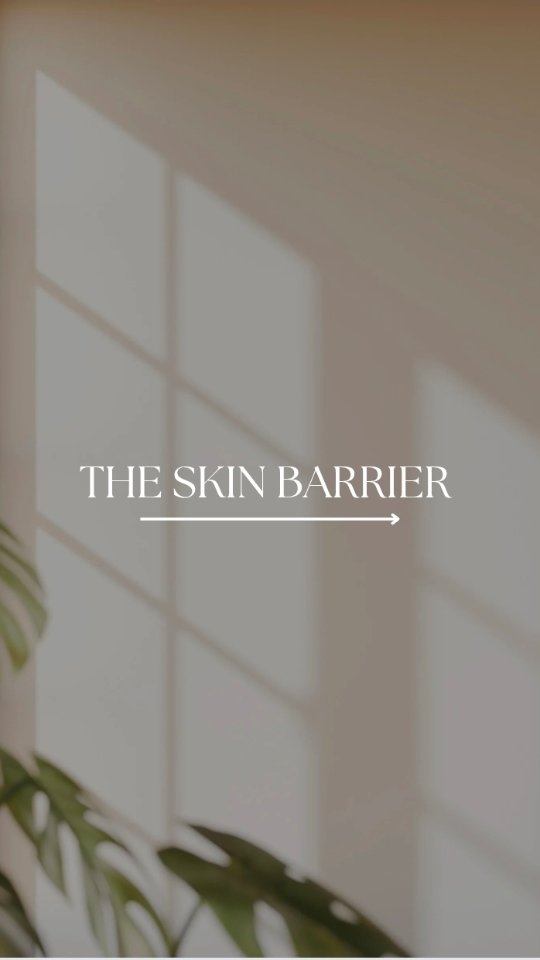 Die Hautbarriere ✨️🤎
ist die äußerste Schicht deiner Haut. Sie besteht aus dem Stratum corneum – also aus Zellen, die von einer schützenden Lipidschicht zusammengehalten werden. Diese Barriere sorgt dafür, dass Feuchtigkeit drinbleibt und schädliche Stoffe draußen bleiben. So schützt sie dich vor Austrocknung, Umweltgiften, Bakterien, Allergenen und Luftverschmutzung.
Eine starke Hautbarriere zu pflegen bedeutet, sie gesund und widerstandsfähig zu halten. Sanfte, nicht austrocknende Reinigungsprodukte, regelmäßiges Eincremen mit Ceramiden oder natürlichen Ölen, täglicher Sonnenschutz und ein vorsichtiger Umgang mit Peelings helfen dabei, deine Haut im Gleichgewicht zu halten. Auch von innen kannst du sie unterstützen: genug trinken, ausreichend essenzielle Fettsäuren aufnehmen und nährstoffreich essen. So bleibt deine Haut besser geschützt – und kann Feuchtigkeit optimal speichern.
🇵🇹
A barreira cutânea ✨️🤎
é a camada mais externa da tua pele. É composta pelo estrato córneo — uma camada de células unidas por uma película lipídica protetora. Esta barreira mantém a hidratação dentro da pele e impede que substâncias nocivas entrem. Assim, protege-te da desidratação, de toxinas ambientais, bactérias, alergénios e poluição.
Cuidar de uma barreira cutânea forte significa mantê-la saudável e resistente. Produtos de limpeza suaves que não ressequem a pele, hidratação regular com ceramidas ou óleos naturais, proteção solar diária e evitar exagerar na esfoliação ajudam a manter o equilíbrio. Também podes reforçá-la a partir de dentro: beber água suficiente, consumir ácidos gordos essenciais e apostar em alimentos ricos em nutrientes. Isto ajuda a tua pele a manter-se protegida — e a reter melhor a hidratação.
ENGLISH
The skin barrier is the outermost layer of your skin. It keeps moisture in and blocks things like toxins, bacteria, allergens, and pollution.
To keep it strong, use gentle cleansers, moisturise regularly, wear sunscreen every day, and avoid over-exfoliating. Staying hydrated and eating nutrient-rich foods also help your skin stay balanced and better at holding in moisture.
#skinbarrier #skinmicrobiome #guthealth #skinhealth #hautbarriere