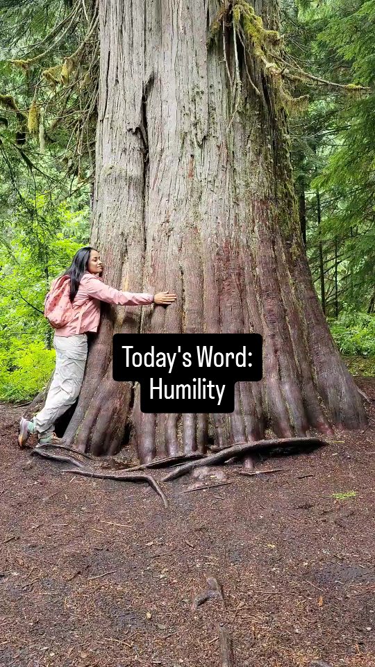 Today’s Word: Humility
Not everything ends neatly.
And still, it can end.
As this year comes to a close, humility invites us to acknowledge what was...
What shaped us, what challenged us,
what we’re quietly grateful for,
and what never fully resolved.
What would it be like to let this year close as it is...
Without fixing it, explaining it, or rushing ahead?