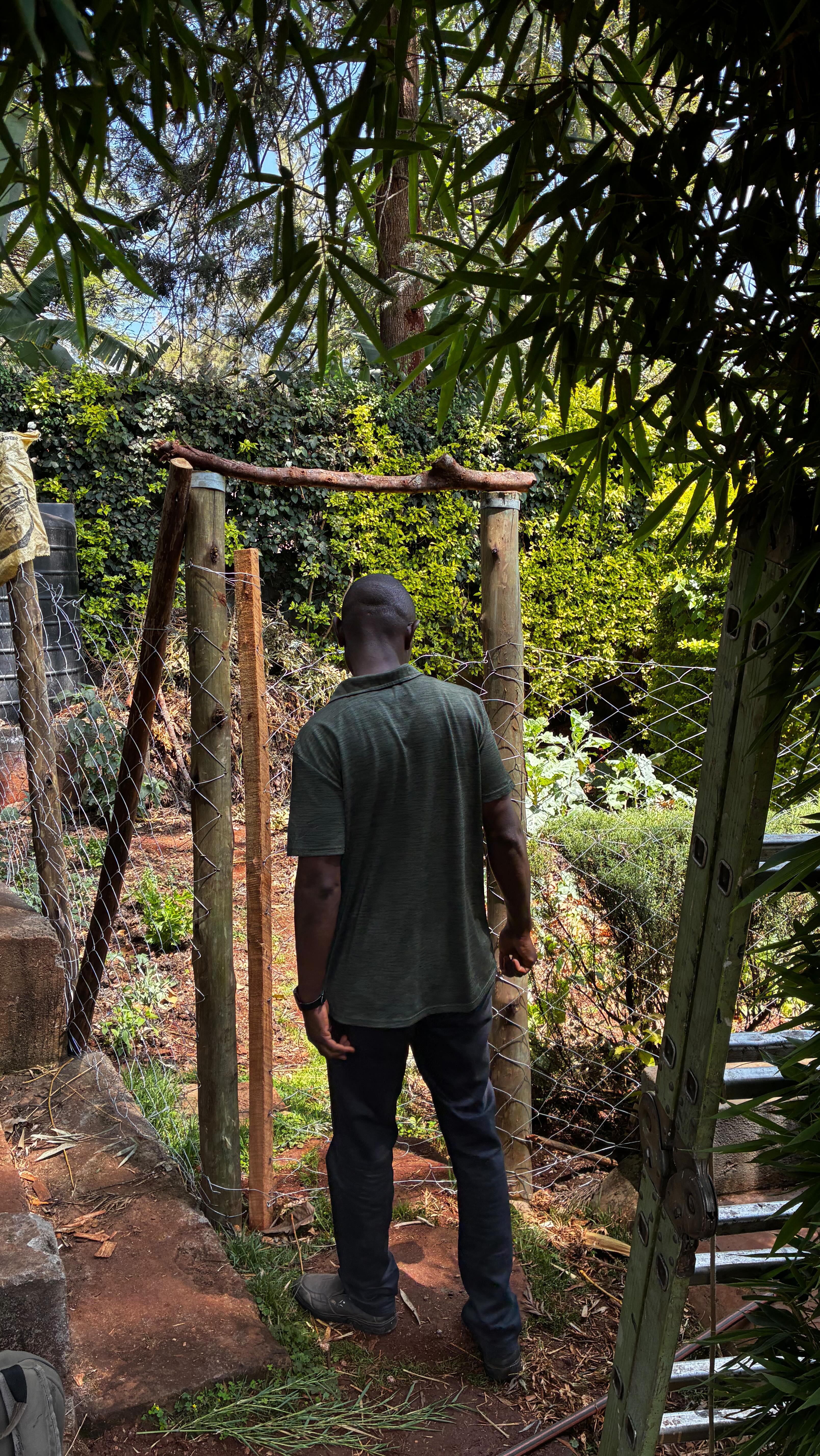 Great to be back after a couple of weeks checking in on this garden. Lawns have now turned into beautiful edible spaces, and we’re adding extra focus on soil building, mulching strategies, and simple integrated pest management. Most of the plants are thriving and the seeds are germinating beautifully. Excited to see how everything grows as we head into the new year. 🌿🌾💦🪻🥬👣🐝💦🤞