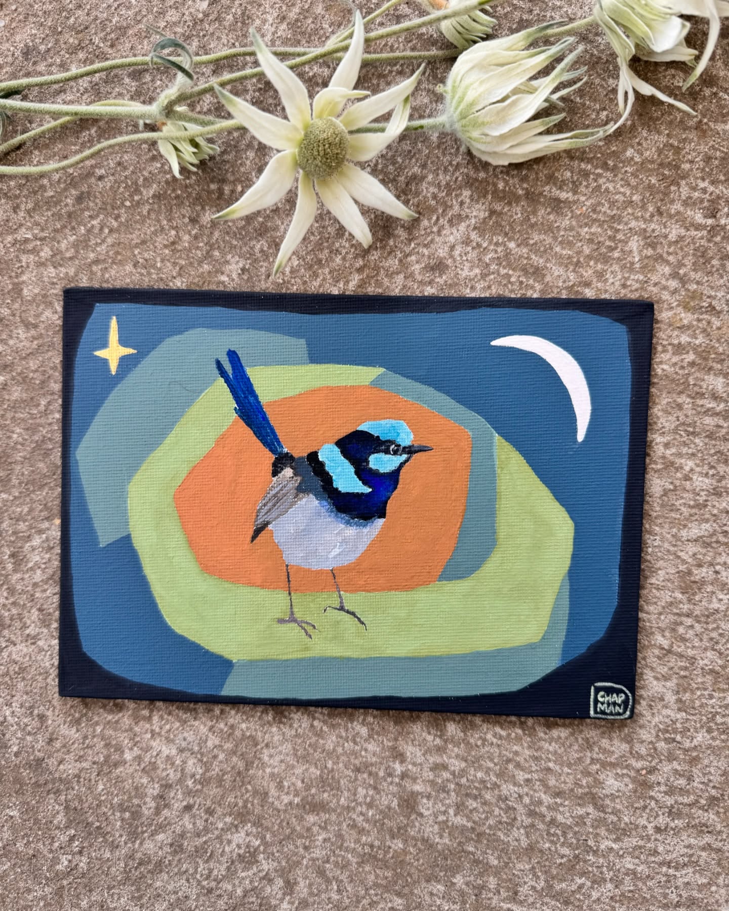 Superb fairy wren 🩵🪺
Warm colour palette 🍂
Gouache on canvas panel 18cmx 13cm $85 including post.
Feel free to message me if you would like to purchase. 🙌🏽 thanks for the flowers @the.petal.press.co x