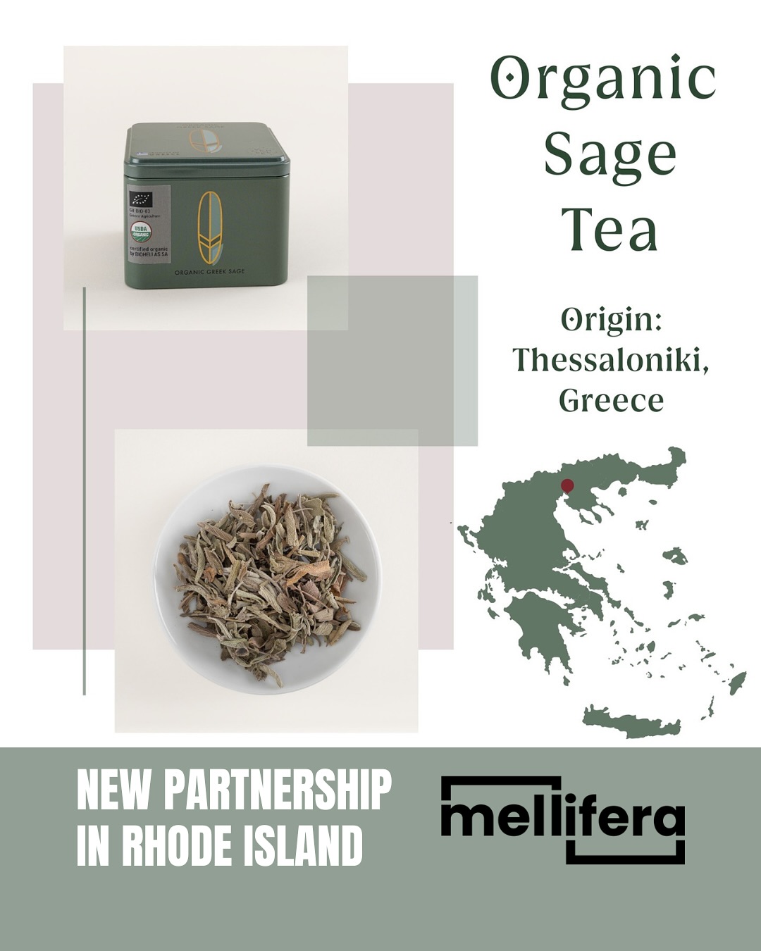 🌿✨ New Partnership Announcement ✨🌿
From the hills of Thessaloniki to Rhode Island, we’re proud to announce our new partnership with Mellifera 🤝
Together, Seven Senses Organic and Mellifera are bringing authentic, organic Greek herbal teas—Sage, Sideritis, and Lavender—to a community rooted in sustainability, education, and mindful living.
This collaboration also supports meaningful local initiatives in Rhode Island, including the University of Rhode Island and the Wheelchair Foundation, making every cup part of something bigger 💙
#SevenSensesOrganic #Mellifera #NewPartnership #GreekHerbalTea #OrganicTea #RhodeIsland #FromGreeceWithLove #sustainableliving