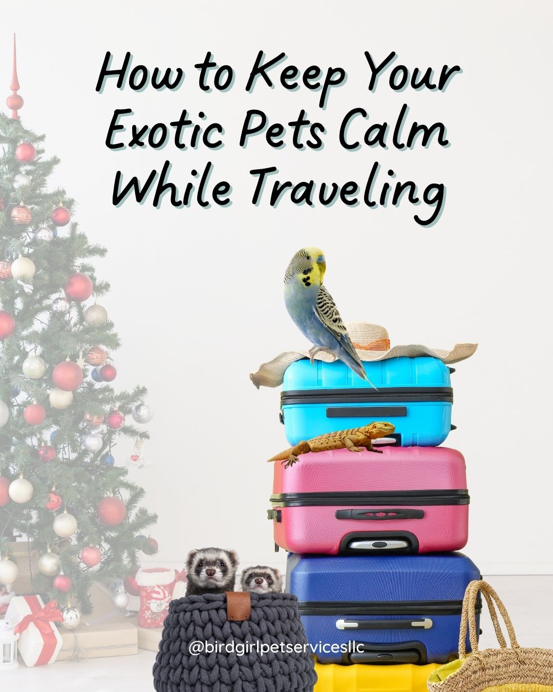 Traveling with exotic pets doesn’t have to be stressful. 🎄
Cover carriers, reduce noise, and bring familiar toys or treats to help keep your pets calm and comfortable.
Save this for your holiday travel checklist.