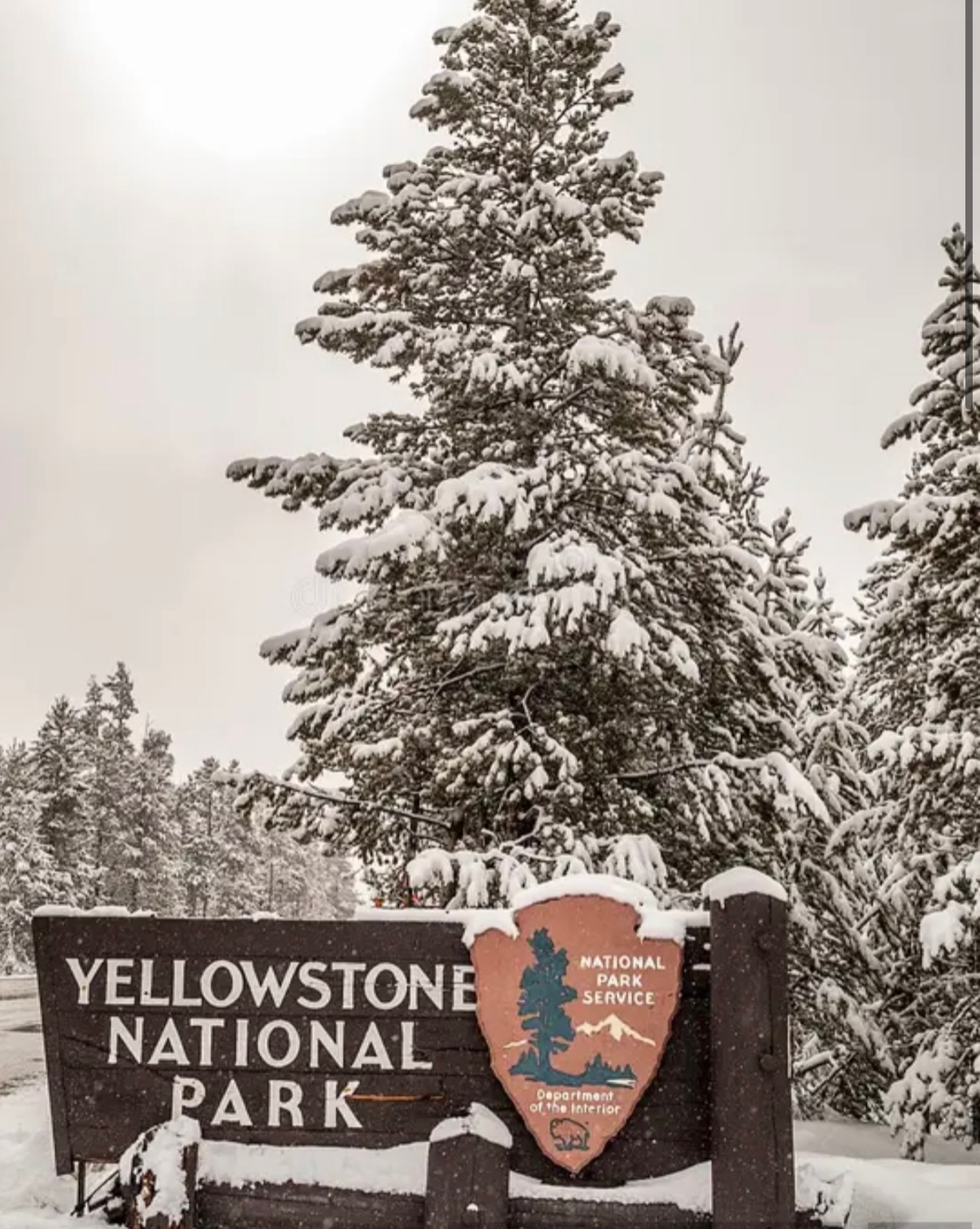 Yellowstone is wrapped in snow ❄️ while we’re soaking up the sun in Australia 🇦🇺… but our hearts are back home planning all the sweetest touches for our May opening. We cannot wait to welcome you! Come visit us! 🤍
#yellowstonepeaks
#islandparkidaho
#yellowstoneescape
#boutiquehotelstay
#designhotels