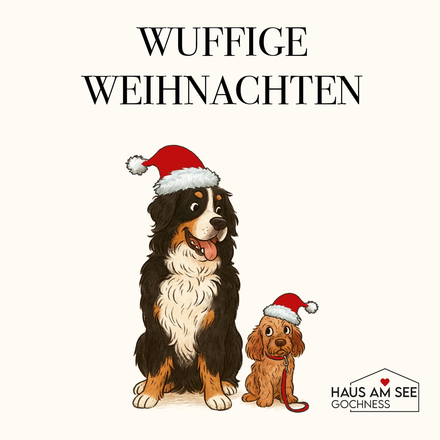 Wuffige Weihnachten & einen funkelnden Jahresausklang ✨🐾
#HausamSeeGochNess #Hochzeitslocation #Weihnachten