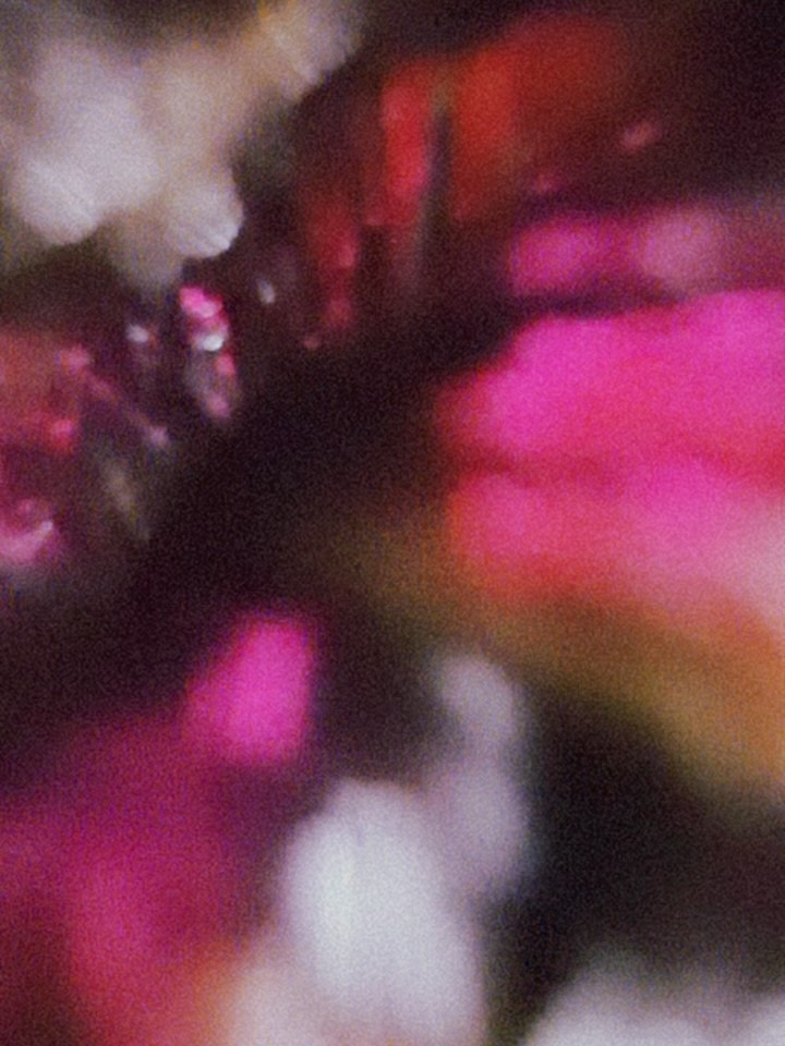 ✨ Knotless Braids ✨
Don’t forget — enjoy 10% OFF all services for the entire month of December!
This is the FINAL SALE of the year, so don’t miss your chance to lock in your holiday style. 🎄💇♀️
Book your appointment today!