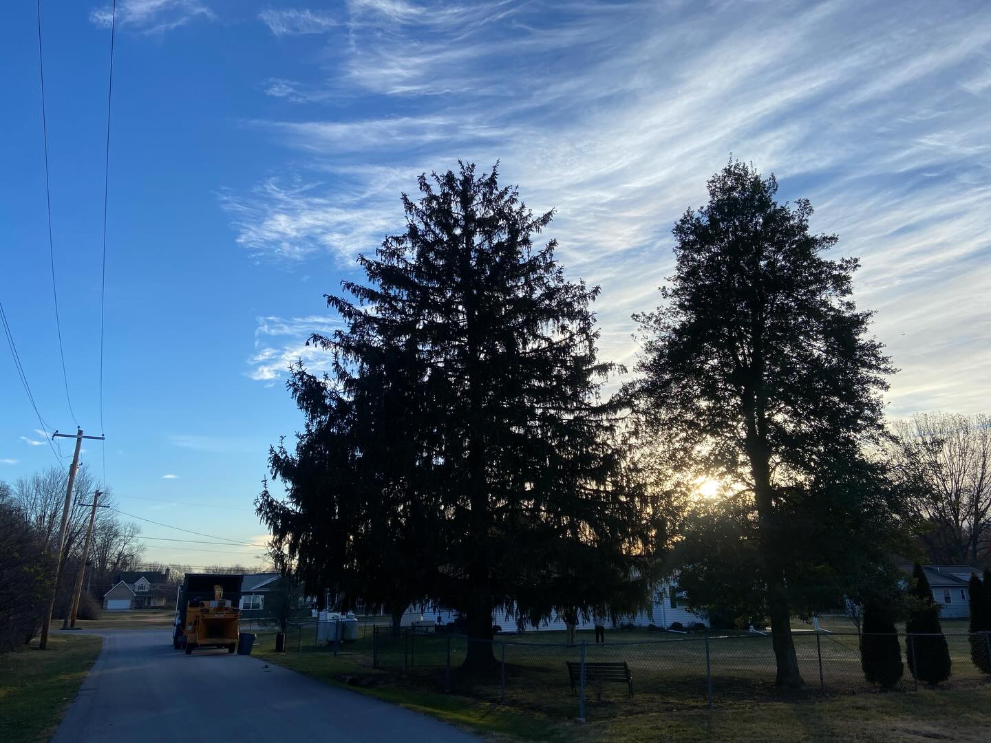 Two pine tree takedown on a cold Friday #wpm #willspropertymaintenance #treecare #treeservice #treeandlawncare #stihl #treecareindustry