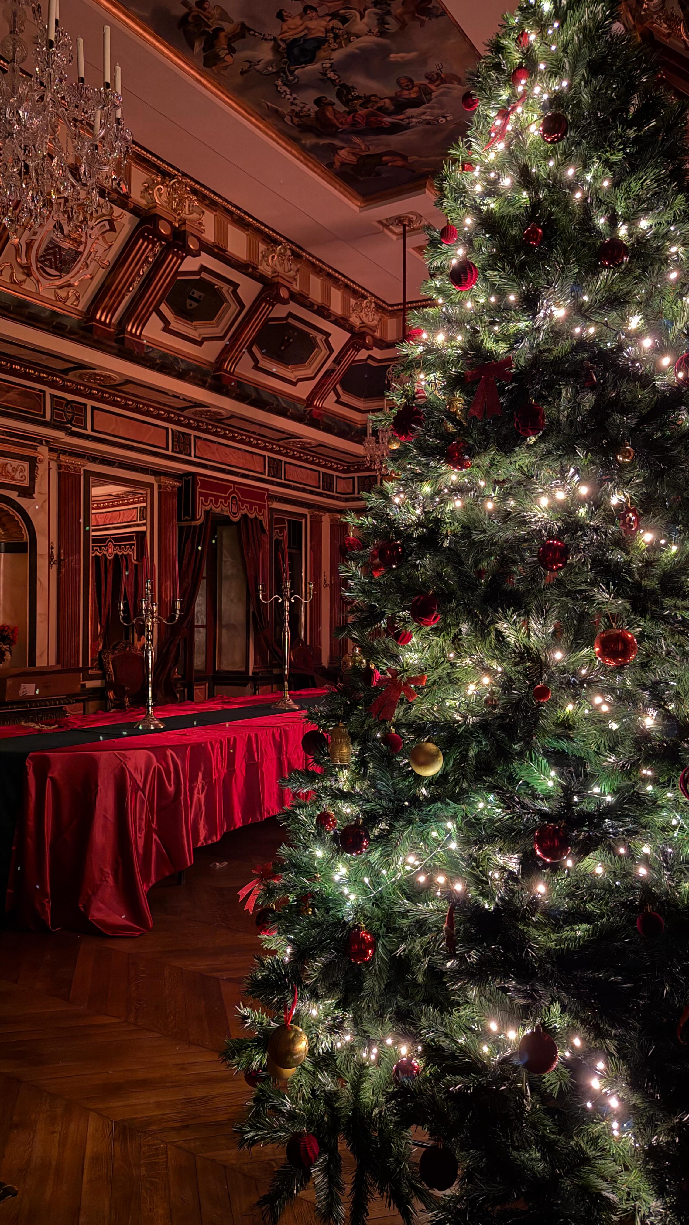 🎄✨ Les coulisses de Noël au château… version réaliste.
Guirlandes emmêlées, boules cassées, attaches introuvables, 7 sapins à décorer, escabeau obligatoire, et… 12°C dans les pièces.
Bref : Noël ne se fait pas tout seul. 😅
Mais quand la magie apparaît… ça vaut toutes les galères. ✨
#VieDeChâteau #NoëlAuChâteau #ChristmasFail #MagieDeNoël #Coulisses #ReelHumoristique #ChâteauDeLaVillaumaire #Noël2025 #GalèresDeNoël #ChâteauLife #ChristmasVibes #Touraine #Chinon #DecoratingForChristmas #ReelFrançais #HumourDuJour