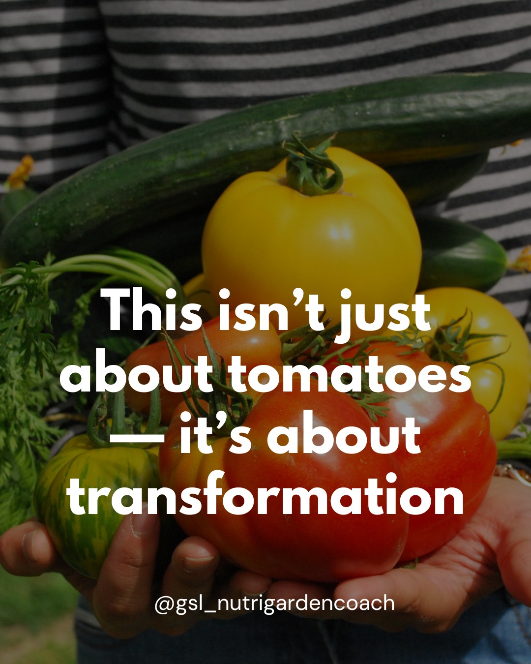 Ready to grow your health from the ground up? 🌱
Stay up to date with all the latest tips, tools, and exclusive content from Green Sprout Living!
Subscribe to my email list to get the latest updates on gardening, wellness, and everything in between—plus early access to special resources and insider content.
👇 Drop a 🌿 in the comments if you want the link—or tap the link in my bio to subscribe now!
#FoundationsPlan #GreenSproutLiving #GrowWithPurpose #NutritionalGardener #WellnessFromTheSoilUp