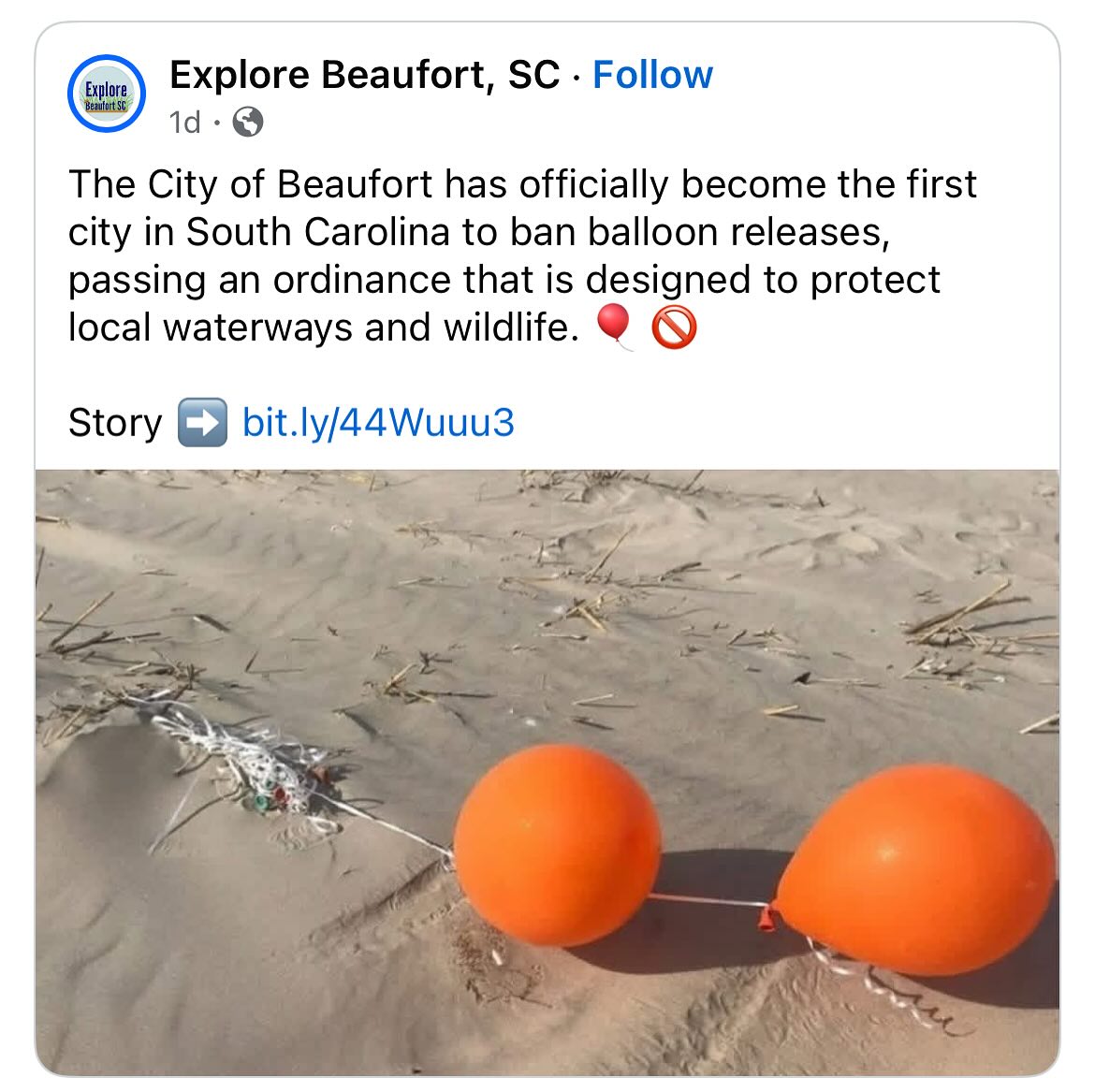 Congratulations Beaufort. Now, let’s take this State-wide. Sign our petition today! https://www.sea-beyond.org/balloons