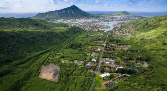 Join us at "FOR x CHANGE" @ Kamilonui Valley w/ Kanekoa Farm!
We will be removing invasive species at Kanekoa Farm in Kamilonui valley. Kanekoa farm is one of the few remaining farms in Hawai'i Kai, and provides fresh food for local communities. Come join us to support their great cause!
Saturday, Jan 03, 2026
8:00 AM – 12:00 PM HST
868 Kamilonui Pl, Honolulu, HI 96825, USA
https://wix.to/BCpUGXs
#hawaii #localfarms #volunteer #rsvpnow #savethedate