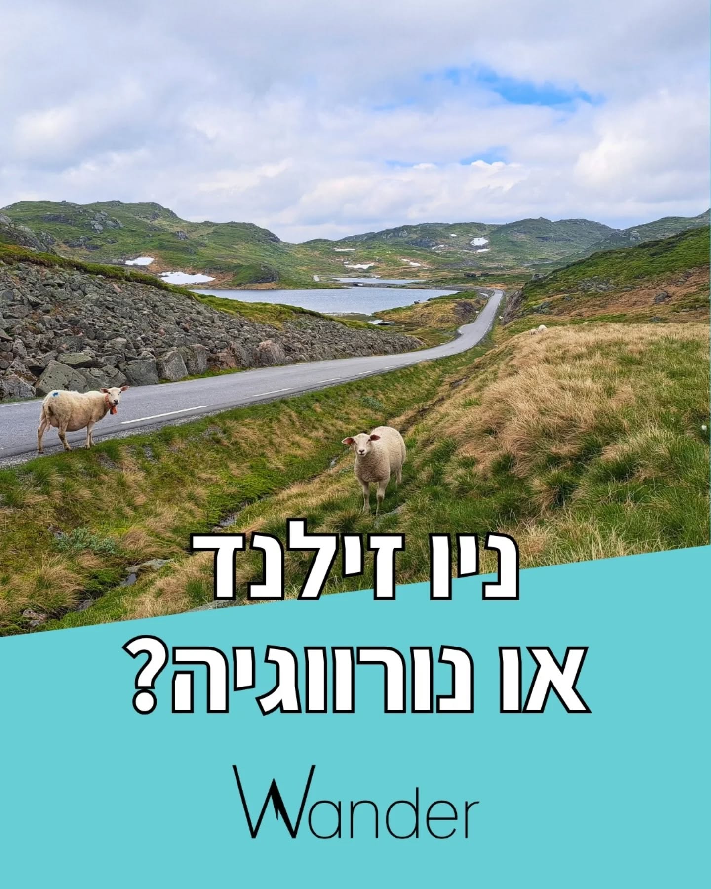 בעשור האחרון רואים יותר ויותר תיירות ליעדים פראיים של טבע גדול, אזורים קרירים יותר ויעדים הרפתקניים ומסעירים יותר. לרשימה הזאת אפשר להכניס את איסלנד, אלסקה וקנדה והרבה מהמטיילים שאנחנו פוגשים מתלבטים מה היעד הבא שלהם - ניו זילנד או נורווגיה?
אז אחרי שהיינו בשני היעדים האלה, אנחנו מרשים לעצמנו לעזור לכם לקבל החלטה😁
נתחיל בזה שאנחנו עדיין לא יודעים את התשובה, וכנראה כל התשובות נכונות :)
יש הרבה דמיון מבחינת הנופים והטבע הפראי, אבל גם הבדלים מהותיים. נורווגיה מדהימה ופראית מאוד, מרגישים בה את העוצמה של הטבע ללא מעצורים. אך בניו זילנד, שלא פחות יפה ועוצמתית, מרגישים בבית ובנחת בזמן הטיול - הכל רגוע והטבע והאנשים מתמזגים למשהו מיוחד.
מסכימים איתנו? חושבים אחרת? תכתבו לנו בתגובות, ונשמח לשמוע על החוויות שלכם!
מוזמנים גם לנסות לנחש אילו תמונות צילמנו בניו זילנד, ואילו בנורווגיה :)