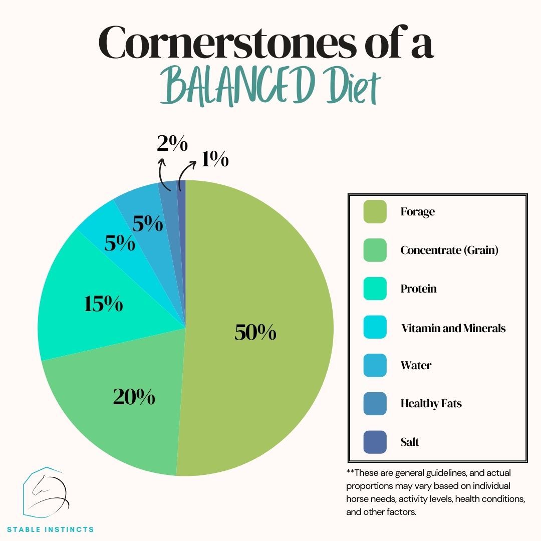 Forage
🌾Provides essential fibre, promoting digestive health
🌾Should always be the foundation of a horses diet
Concentrates (Grains)
🌽Provides supplemental energy and nutrients
🌽Grains like oats, barley, or corn can be added based on the horse’s workload and nutritional needs.
Protein
🫘Essential for muscle development, maintenance, and overall body function
🫘Sources include forage, legumes (alfalfa), and commercially formulated feeds
Vitamins
💊Vital for metabolic processes and overall health
💊A well-balanced diet usually provides sufficient vitamins
Minerals
⚒️Important for bone health, enzyme function, and electrolyte balance
Water
💧Essential for digestion, nutrient absorption, and temperature regulation.
💧Provide access to clean water at all times, monitoring intake, especially in hot or cold weather
Salt
🧂Critical for maintaining electrolyte balance and encouraging water intake.
🧂Offer a salt block.
Healthy Fats:
🧈Provide a concentrated energy source and support coat condition