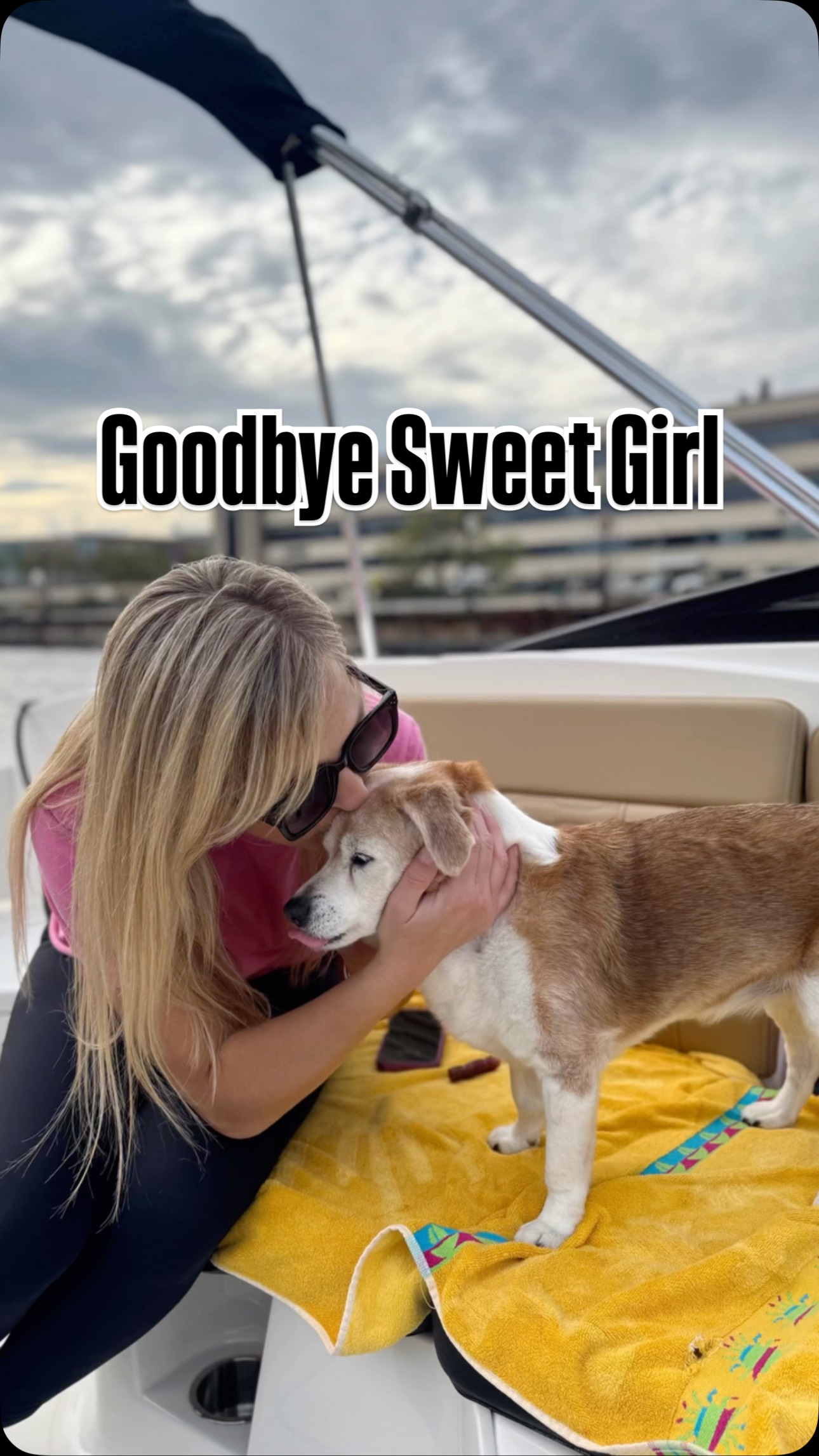 🌈 Riley peacefully passed away @shorewoodah2500 yesterday. We are in shambles.
Thank you for loving her the way you did and making her Milwaukeefamous.
I rushed to make this reel with tears running down my face. We’ll share more in posts and newsletter soon.
We have one ask: if you see us, please don’t ask us if we’re going to get another dog. All we want is her.
#famousdogsofinstagram #dogsofmilwaukee #dogsofwisconsin