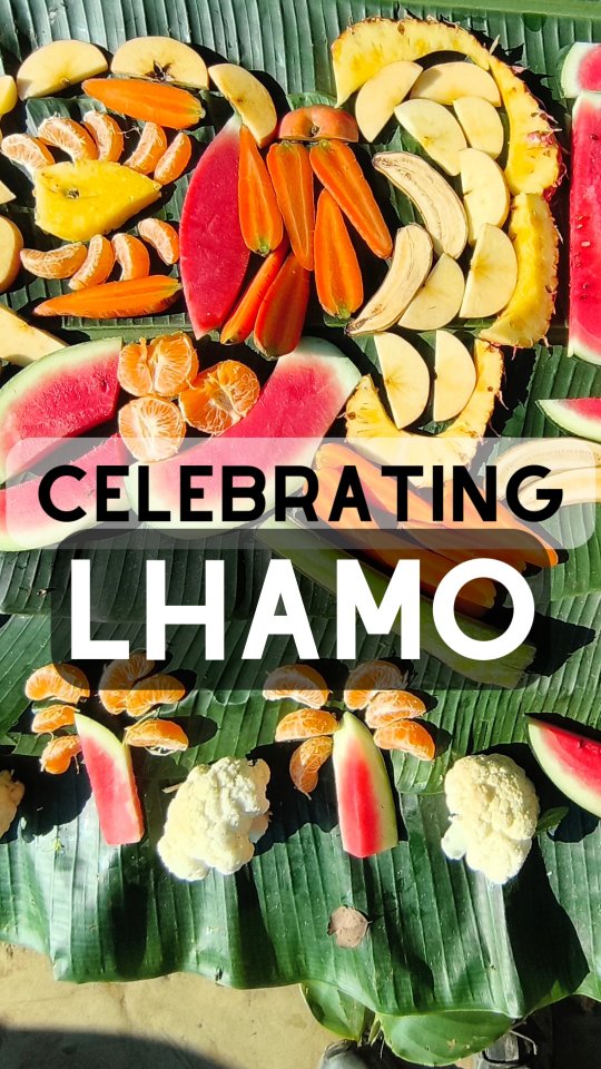 🇬🇧 Yesterday, December 11th, marked the 5th anniversary of Lhamo’s rescue! 🎉🐘
Since joining our family, she has flourished—revealing a wise, playful, and remarkably strong personality. Watching her grow and rediscover life has been one of our greatest joys. 💚
We are deeply grateful for your continued support, which makes it possible for us to care for her and witness her beautiful journey every single day. 🌿✨
🇫🇷 Hier, le 11 décembre, nous avons célébré le 5ᵉ anniversaire du sauvetage de Lhamo ! 🎉🐘
Depuis qu’elle est avec nous, elle s’épanouit pleinement et révèle une personnalité à la fois sage, joueuse et incroyablement forte. La voir grandir et retrouver une vraie liberté est l’une de nos plus grandes joies. 💚
Nous vous sommes profondément reconnaissants pour votre soutien, qui nous permet de prendre soin d’elle et d’être témoins de son magnifique parcours chaque jour. 🌿✨
#Lhamo #AnniversaireDeSauvetage #StandUp4Elephants #SauvetageÉléphant #BienÊtreAnimal #Népal #Lhamo #RescueAnniversary #StandUp4Elephants #ElephantRescue #AnimalWelfare #Nepal