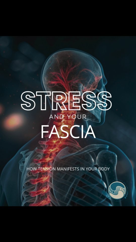 Tight jaw. Stiff shoulders. That ache in your lower back. These arenโt random โ theyโre your fascia responding to stress.
Reflexology Fascia Release helps release deep tension patterns held in the nervous system and fascia. Gentle pressure. Targeted relief. A reset for your bodyโs stress response.
๐ง Neck & shoulders โ emotional overload
๐ฌ Jaw & face โ anxiety, grinding
๐ช Lower back โ sitting, strain
๐ง Hips โ emotional holding
Let your body exhale. Book your session. Feel the shift.
#reflexology #reflexologybodybalance #reflexologynearme #FasciaRelease #StressRelief
