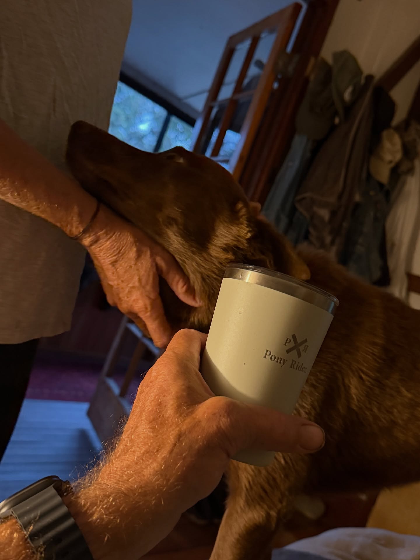 Moovement at the Station