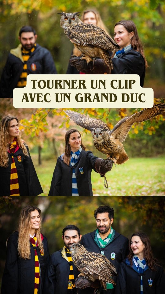 Incontestablement la star de notre clip, Nymeria 🦉😍 Un grand merci à @esprit.fauconnerie pour leur participation à notre deuxième jour de tournage, et à @notredamedeconil de nous avoir permis de recréer un petit bout d'Écosse en Provence 🤍
👉 Lien direct du clip dans la bio !
🎥 @doriane.b13
🏰 @notredamedeconil
⛪️ @abbayedelacelle
🦉 @esprit.fauconnerie
🛰 @tech_n_drone
📷 @clemenced_photographie
📸 @aurelien.slmn
🎻 @coruss_hair
🎙 @etiennecambois
🎼 @johnwilliams.music
✍️ @wtchagi
Clip | Harry Potter | Violon | Musiques de films | John Williams | Quatuor à cordes | Reprise | Poudlard | Hogwarts | Soundtrack | Instrumental cover | Hibou |
#violin #violincover #instrumental #sudest_focus_on #violins #violinistsofinstagram #violinplayer #violinlove #musiciansofinstagram #ig_france #ig_europe #cover #instrumental #instrumentalcover #moviemusic #soundtrack #ost #harrypotter #johnwilliams #harrypottercover #potterhead #harrypotterfan #wizardingworldofharrypotter #harrypottermemes #johnwilliamsmusic #harrypotterfanpage #hibou #owl #fauconnerie
@harrypotter_jp_official
@harrypotterworld
@harrypotter.global
@potterclub.insta
@hogwarts.station
✨️