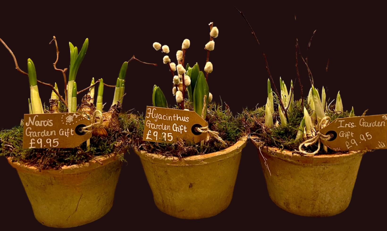 Perfect gift… #gift #giftideas #giftforfriend #presents #perfectpresent #christmas #plants #garden #home #homemade #homeinteriors #heartfeltgift #meaningful #christmastime #christmasseason #supportsmall #supportsmallbusiness #smallshops #shoppingday #supportlocal #businesswomen #dogfriendly #dogsarethebest #doglovers #comevist #welcomedecember #welcomegifts #hyacinthus #iris