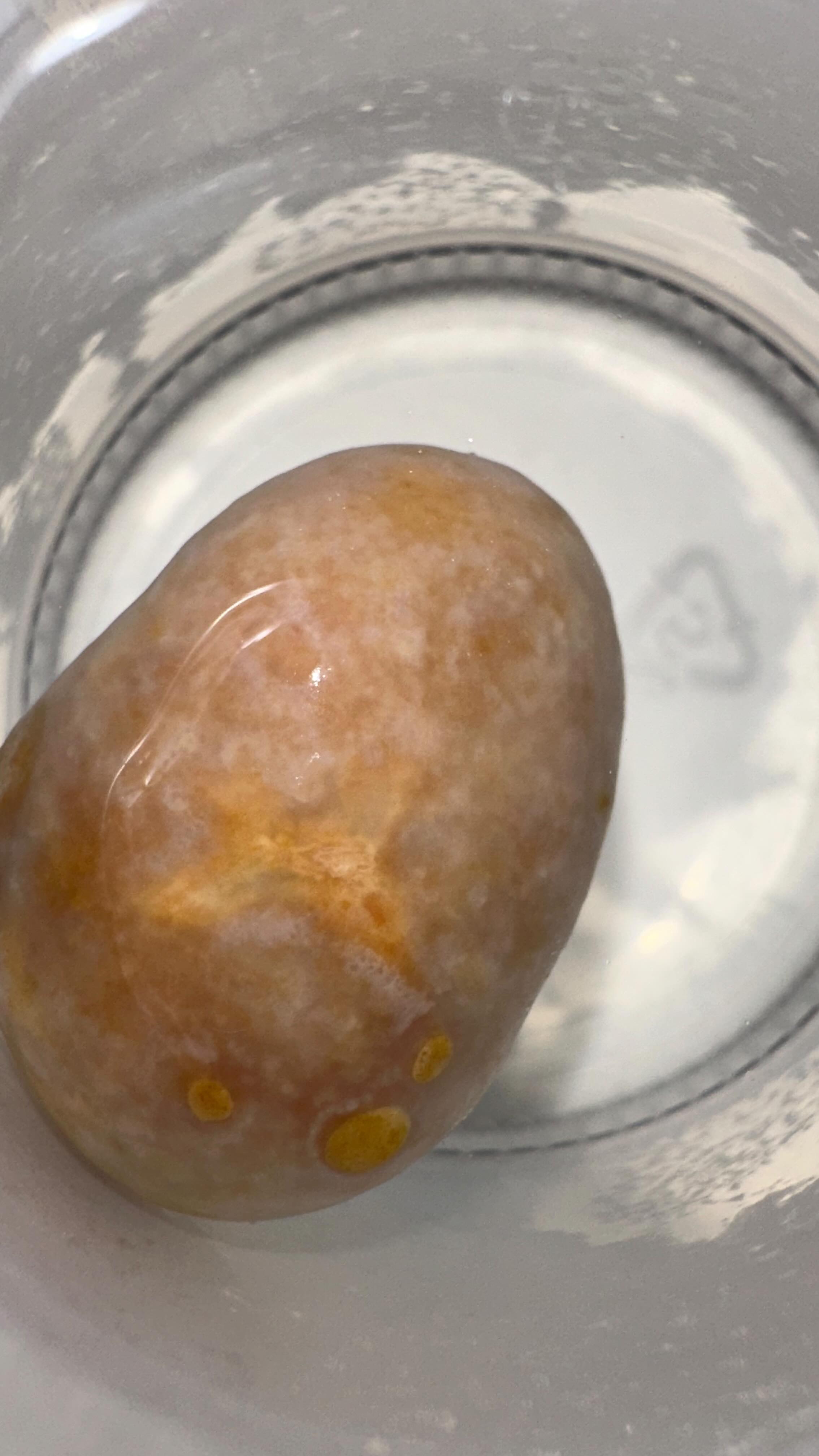 Was denkt ihr, haben wir da entfernt?